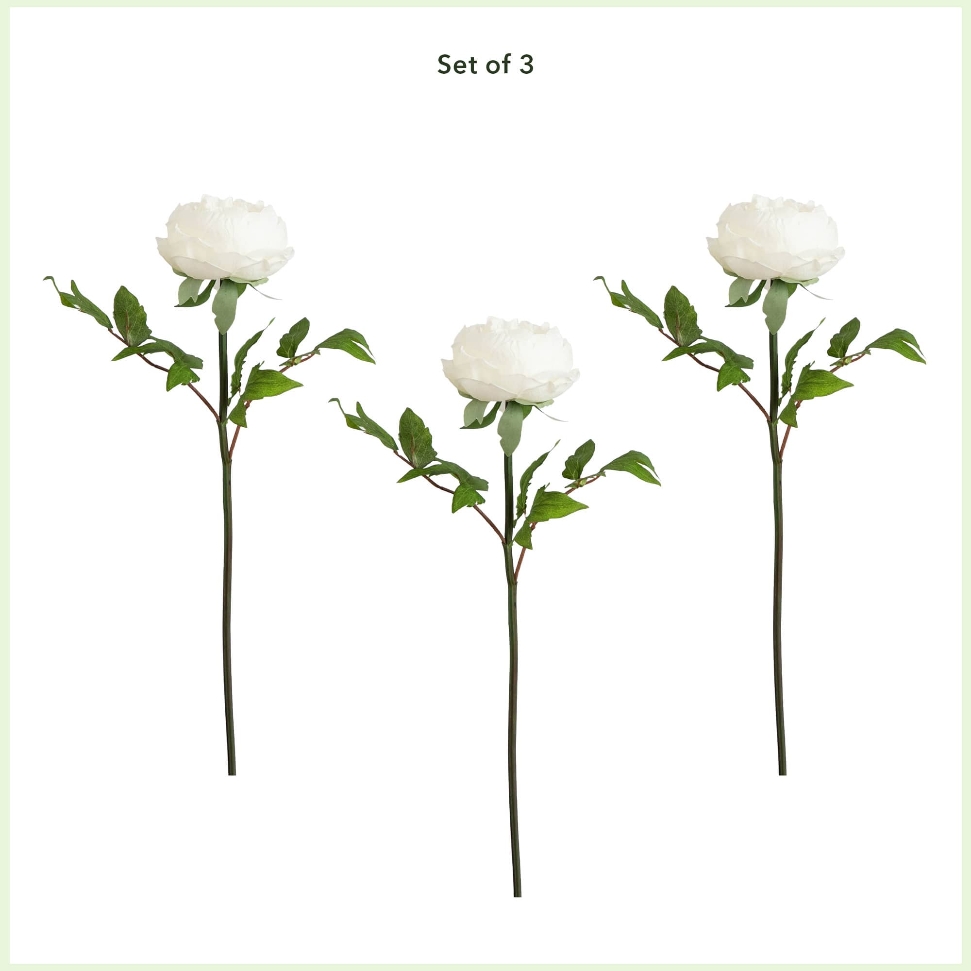 20&#x22; White Peony Flower Stems, 3ct.
