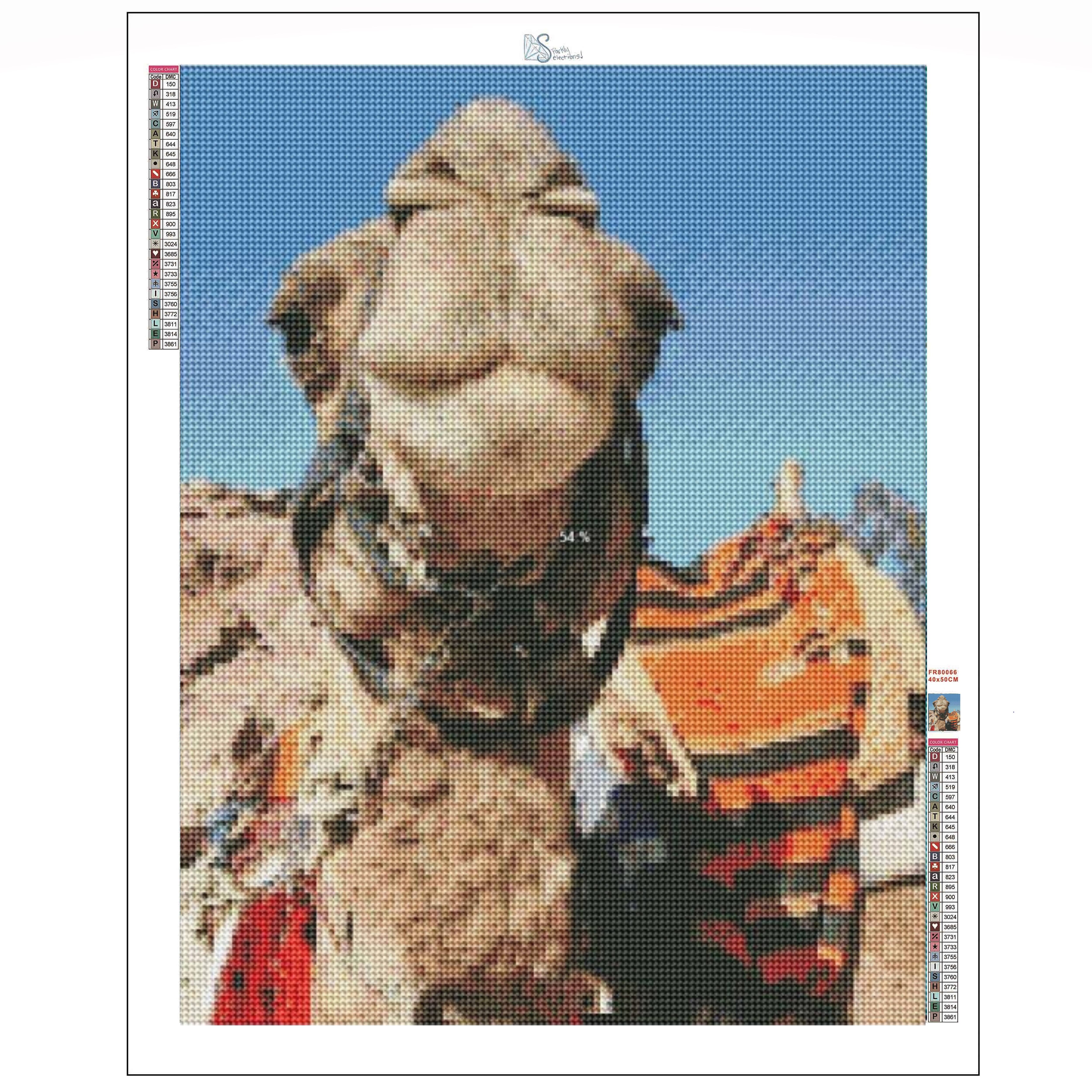 Sparkly Selections Happy Camel Near Petra, Jordan 40cm x 50cm Diamond Painting Kit, Square Diamonds