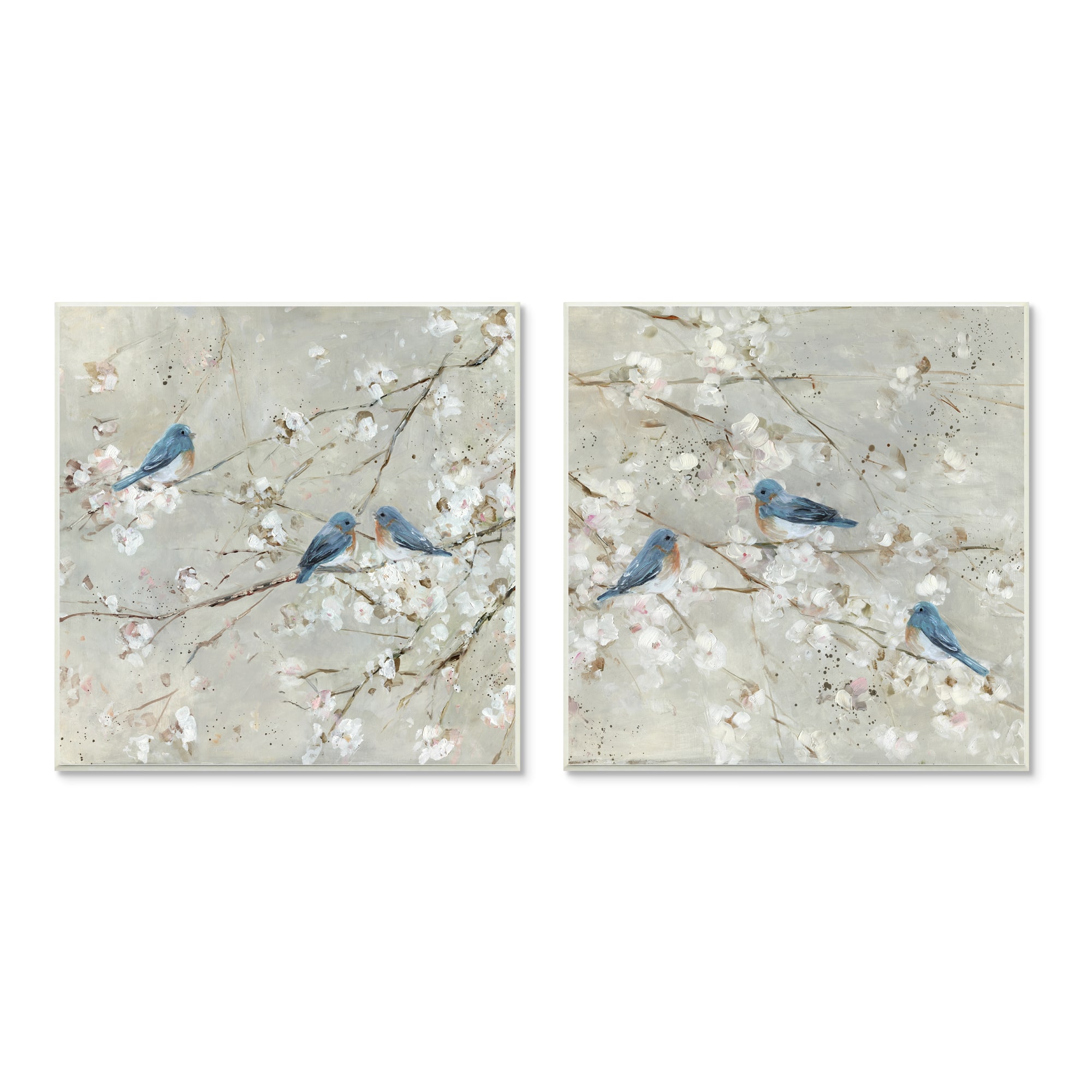 Stupell Industries Blue Birds Perched Tree Blossoms Spring Scene,12" x 12"