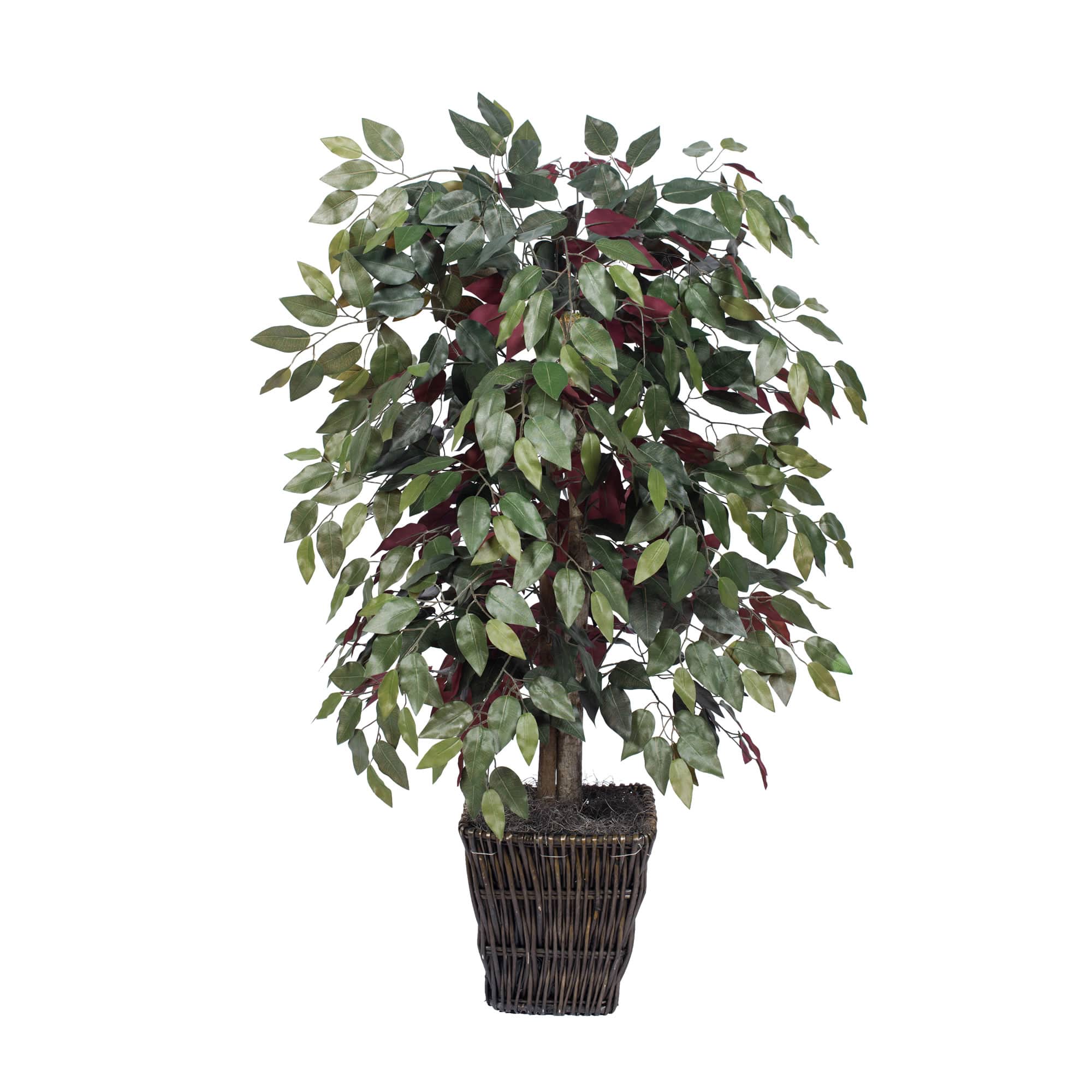4ft. Artificial Capensia Bush with Square Willow Basket
