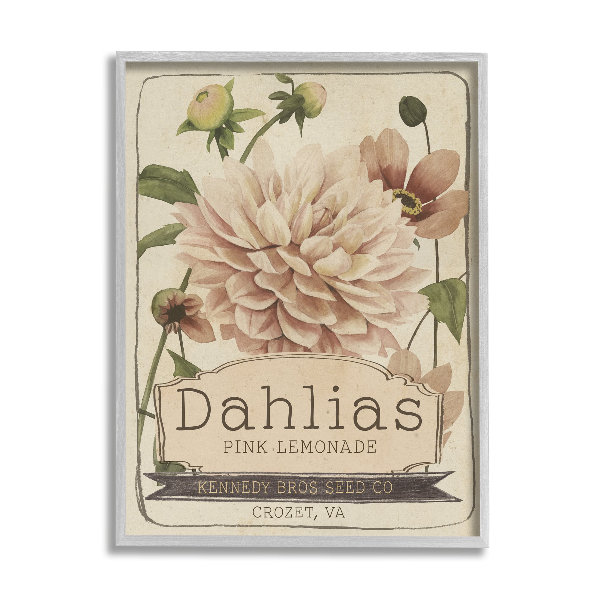 Stupell Industries Pink Lemonade Dahlias Vintage Floral Seed Packet Framed Wall Art
