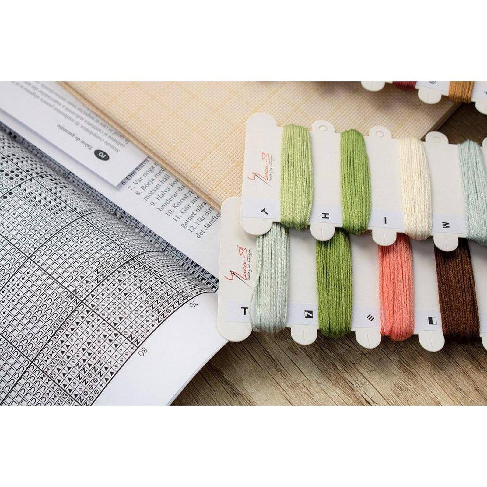 Luca-s Pumpkin Counted Cross Stitch Kit