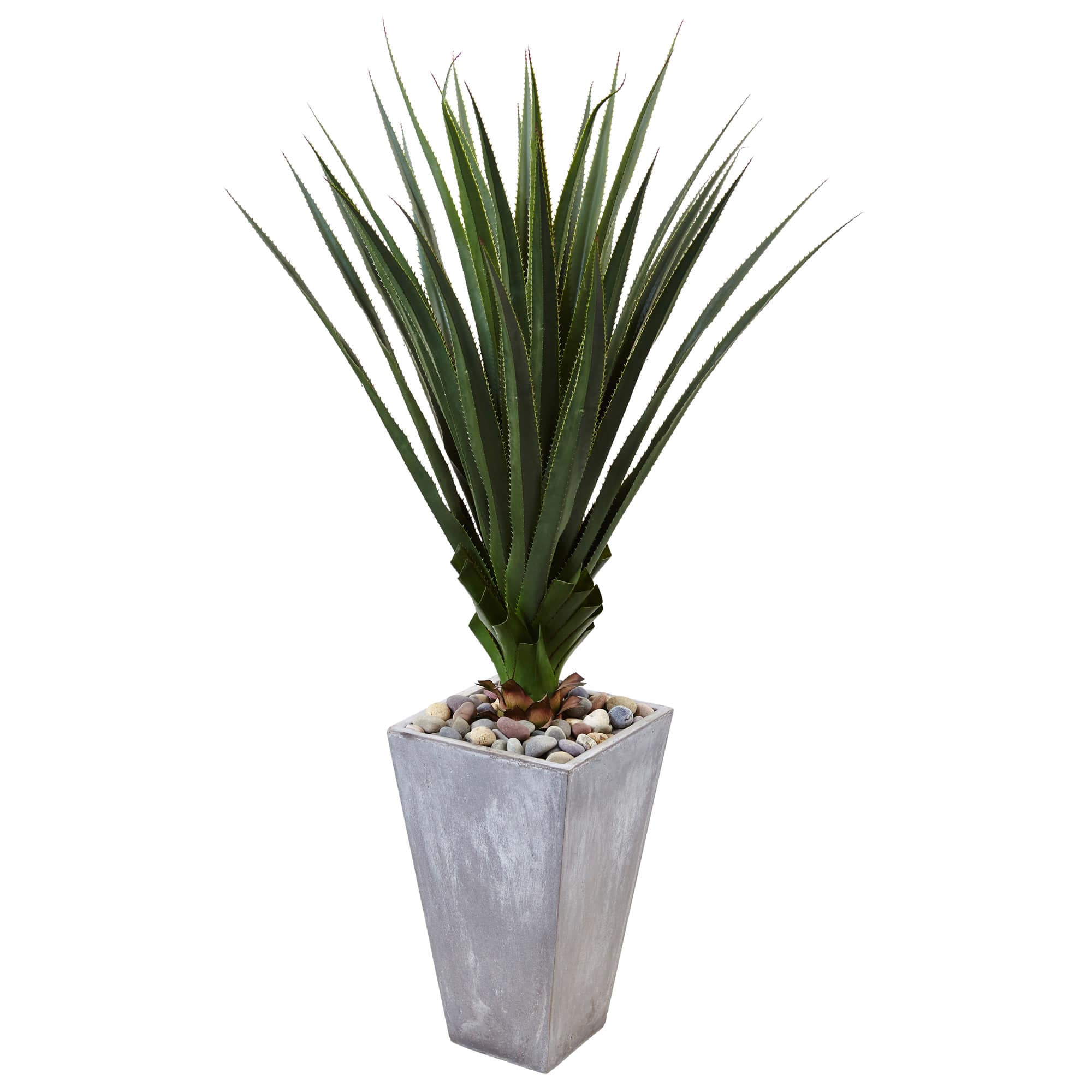 5ft. Spiked Agave Plant in Cement Planter