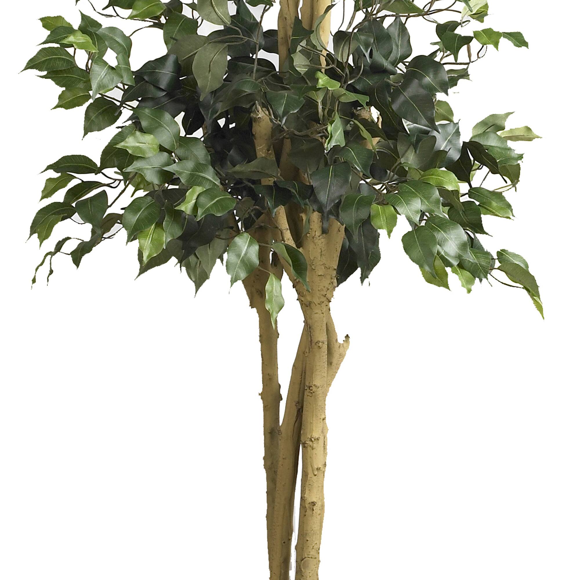6ft. Potted Double Ball Ficus Silk Tree Michaels