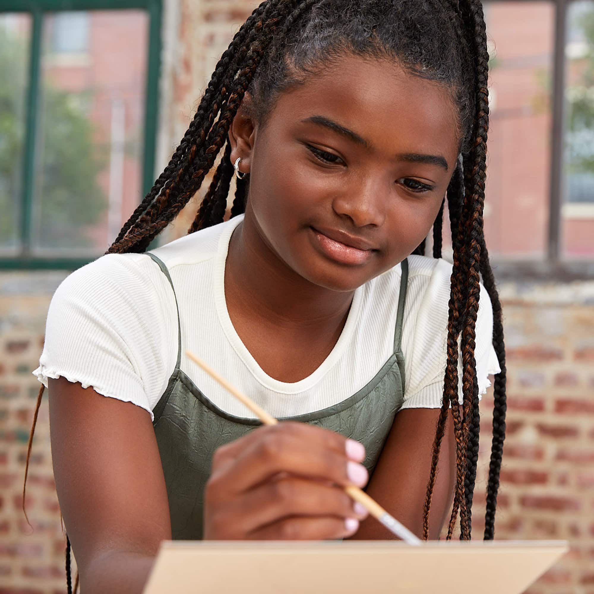 BBC Earth Canvas Board Tiger Paint by Number