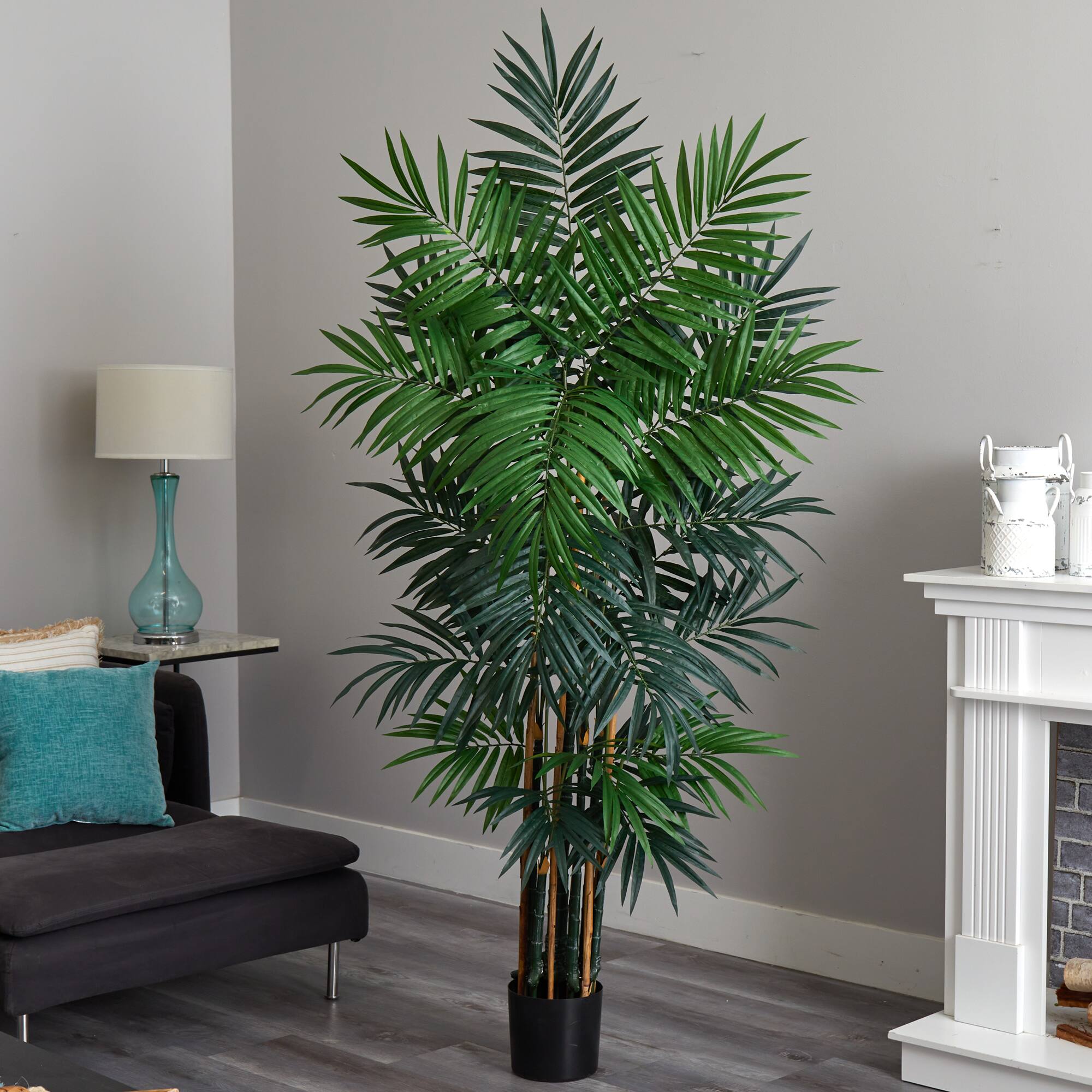 6ft. Potted Bulb Areca Palm Tree
