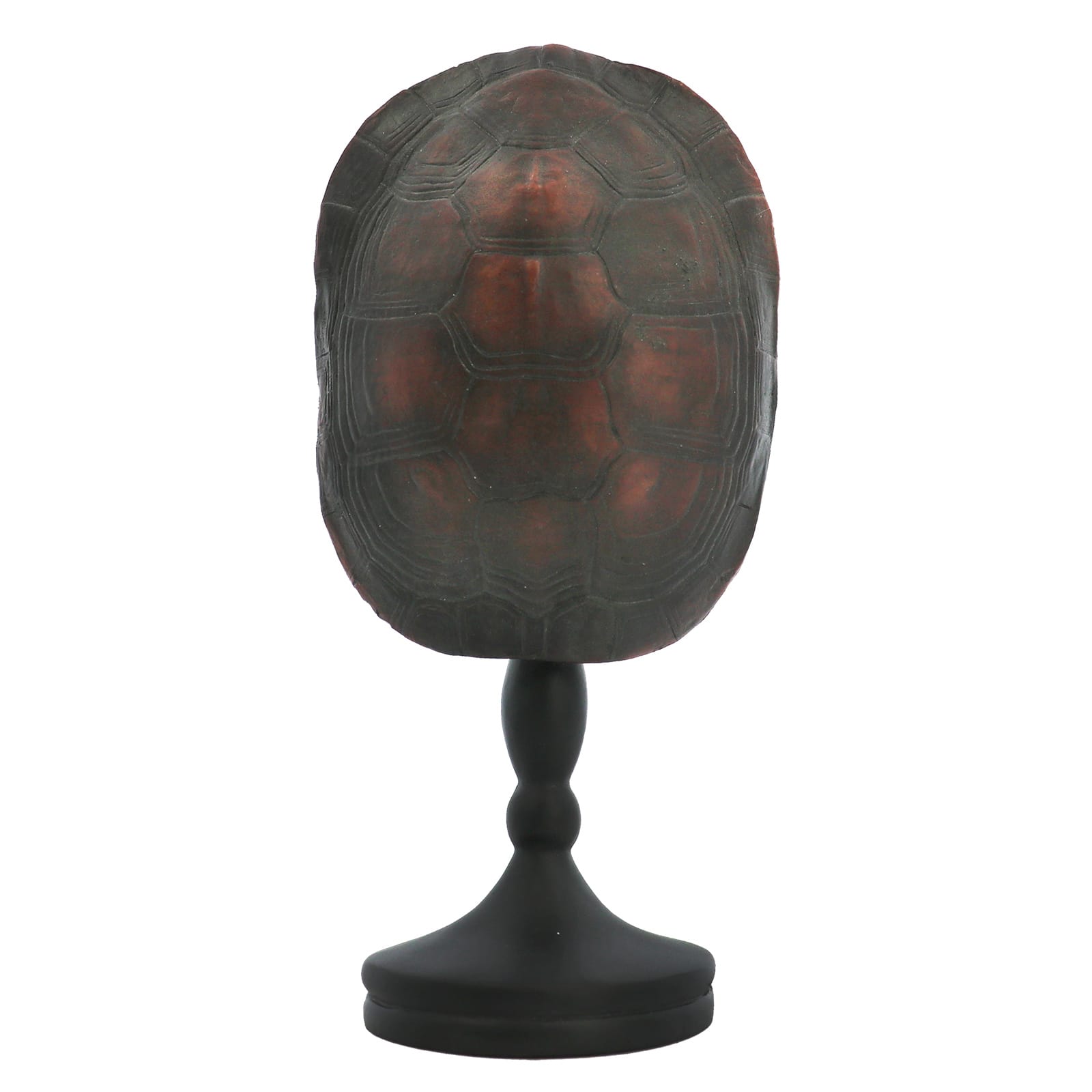 Turtle Shell Tabletop Accent by Ashland&#xAE;