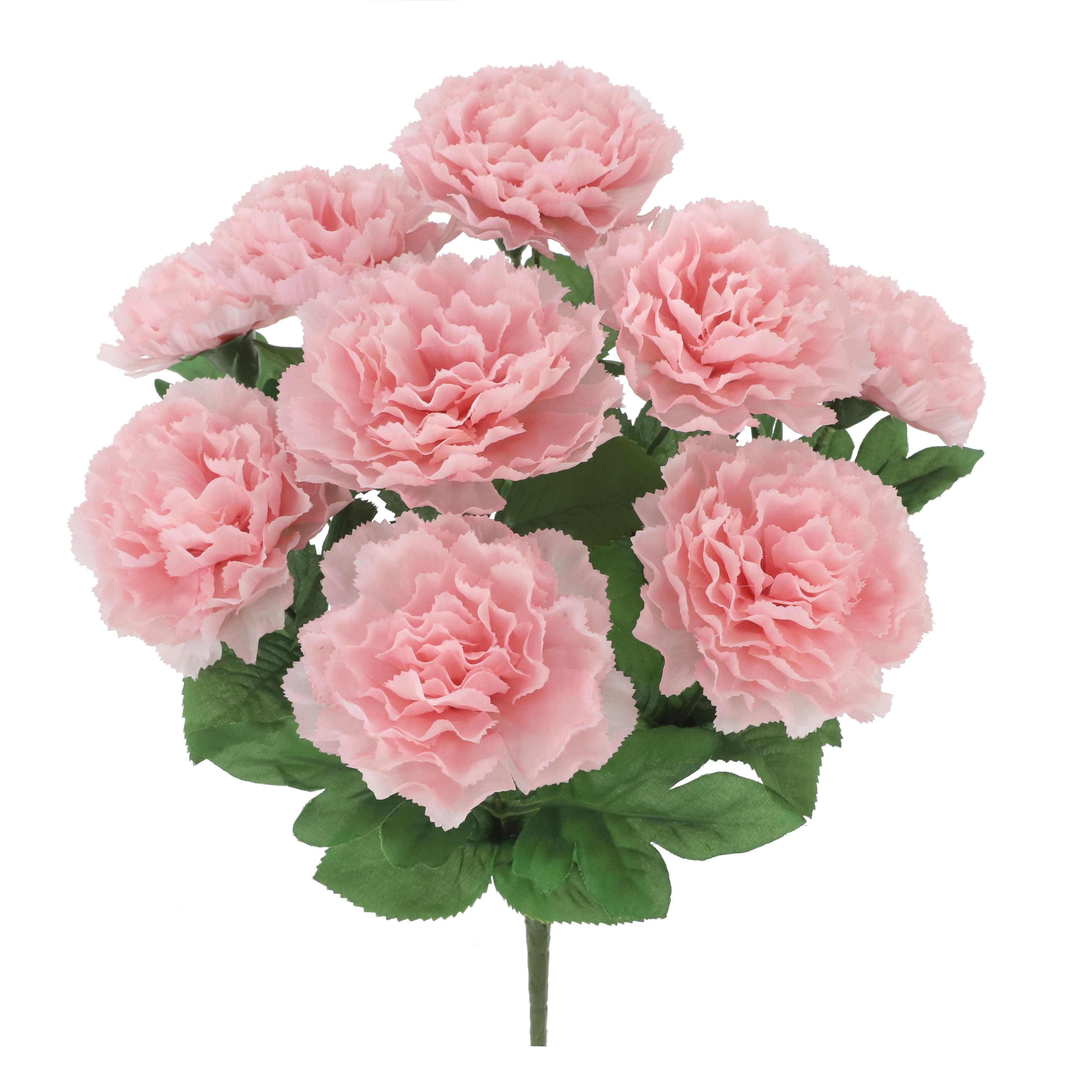 18&#x22; Pink Carnation Bush by Ashland&#xAE;