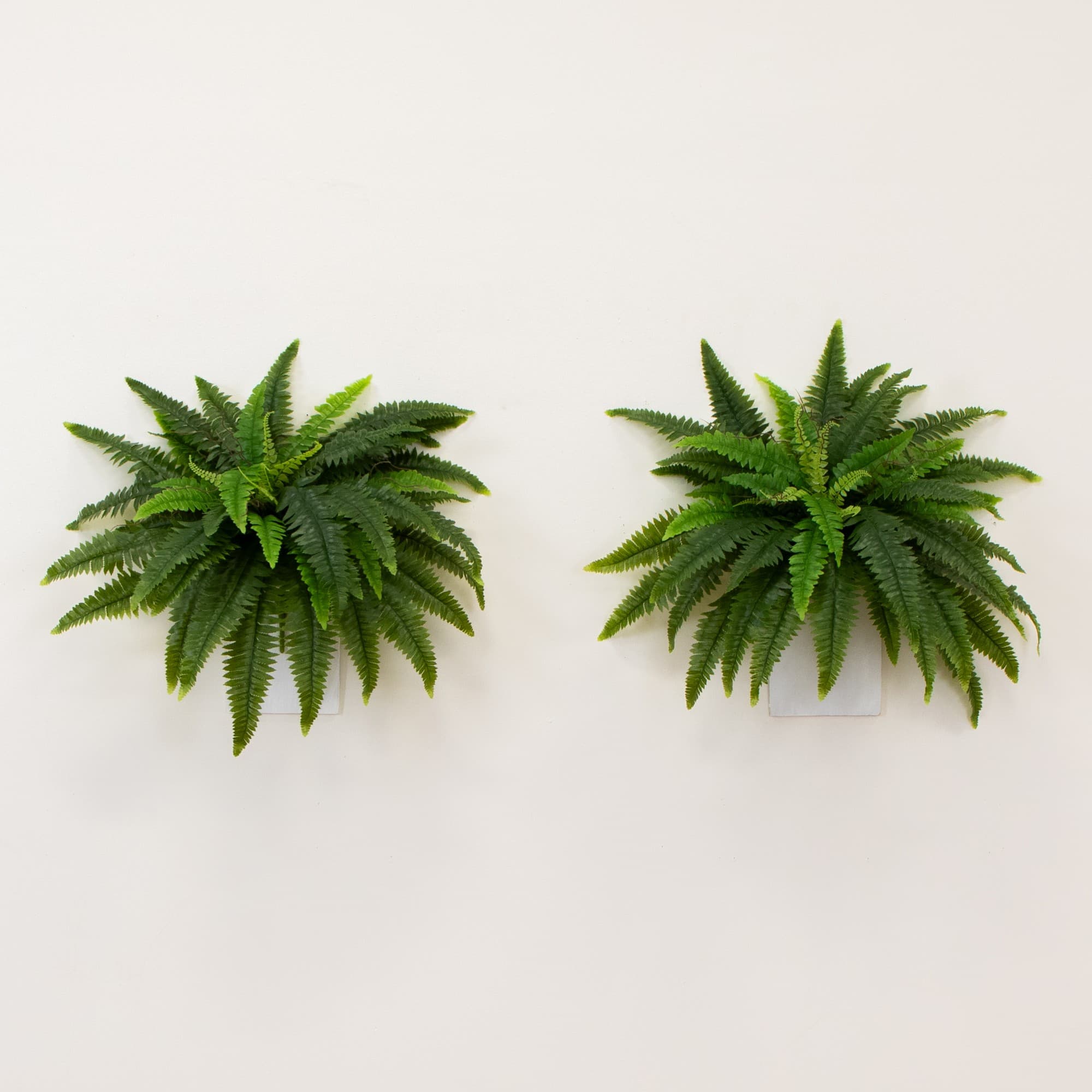 40" UV-Resistant Artificial Boston Ferns, 2ct.