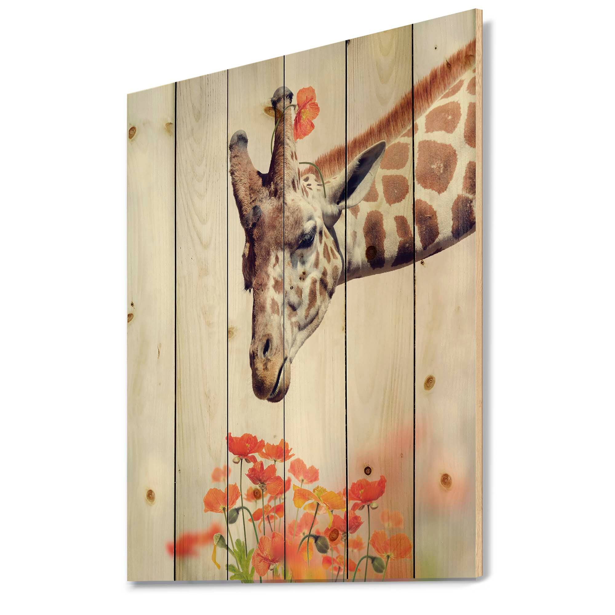 Designart - Portrait of A Giraffe II - Farmhouse Print on Natural Pine Wood