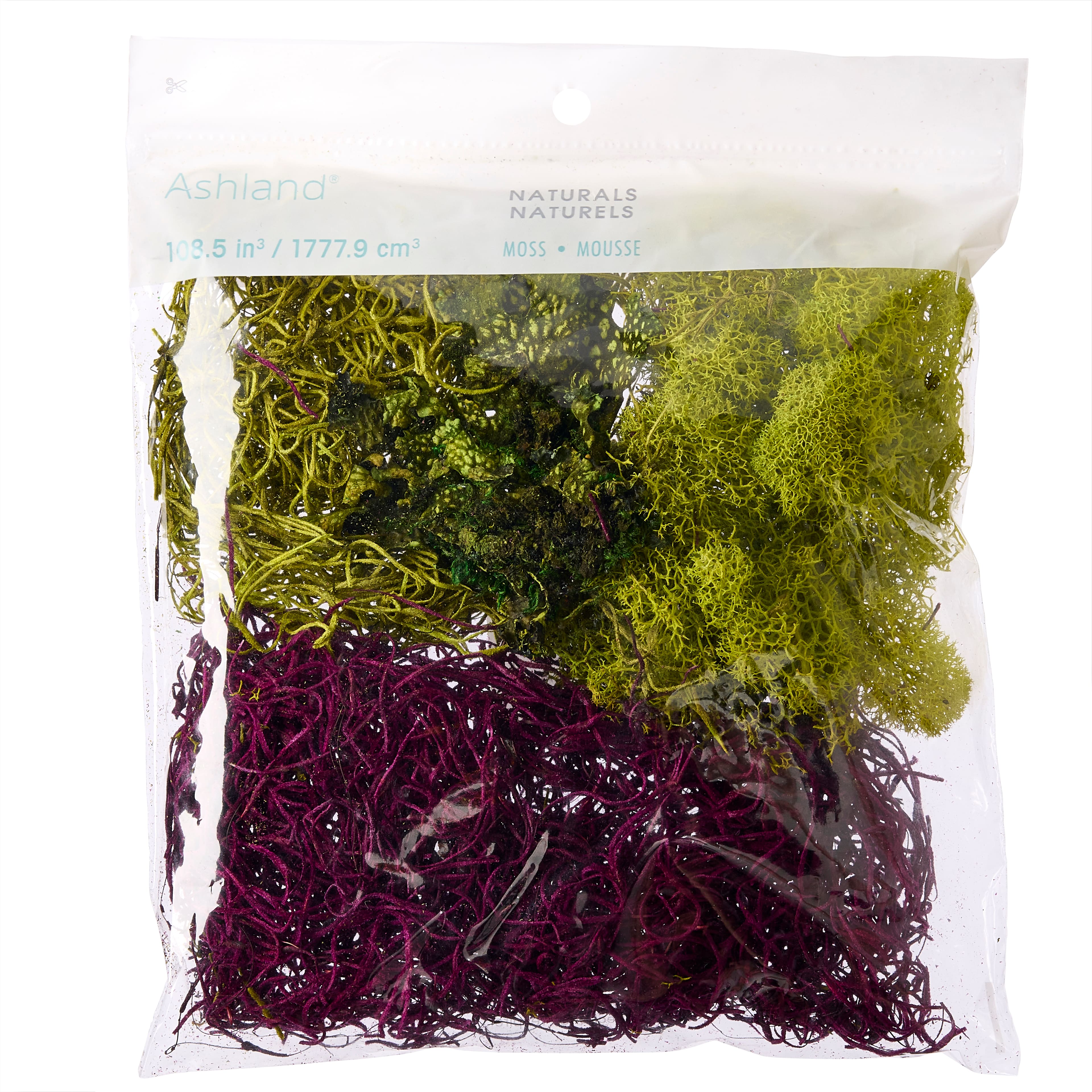 6 Pack: Red Moss Variety Pack by Ashland&#xAE;