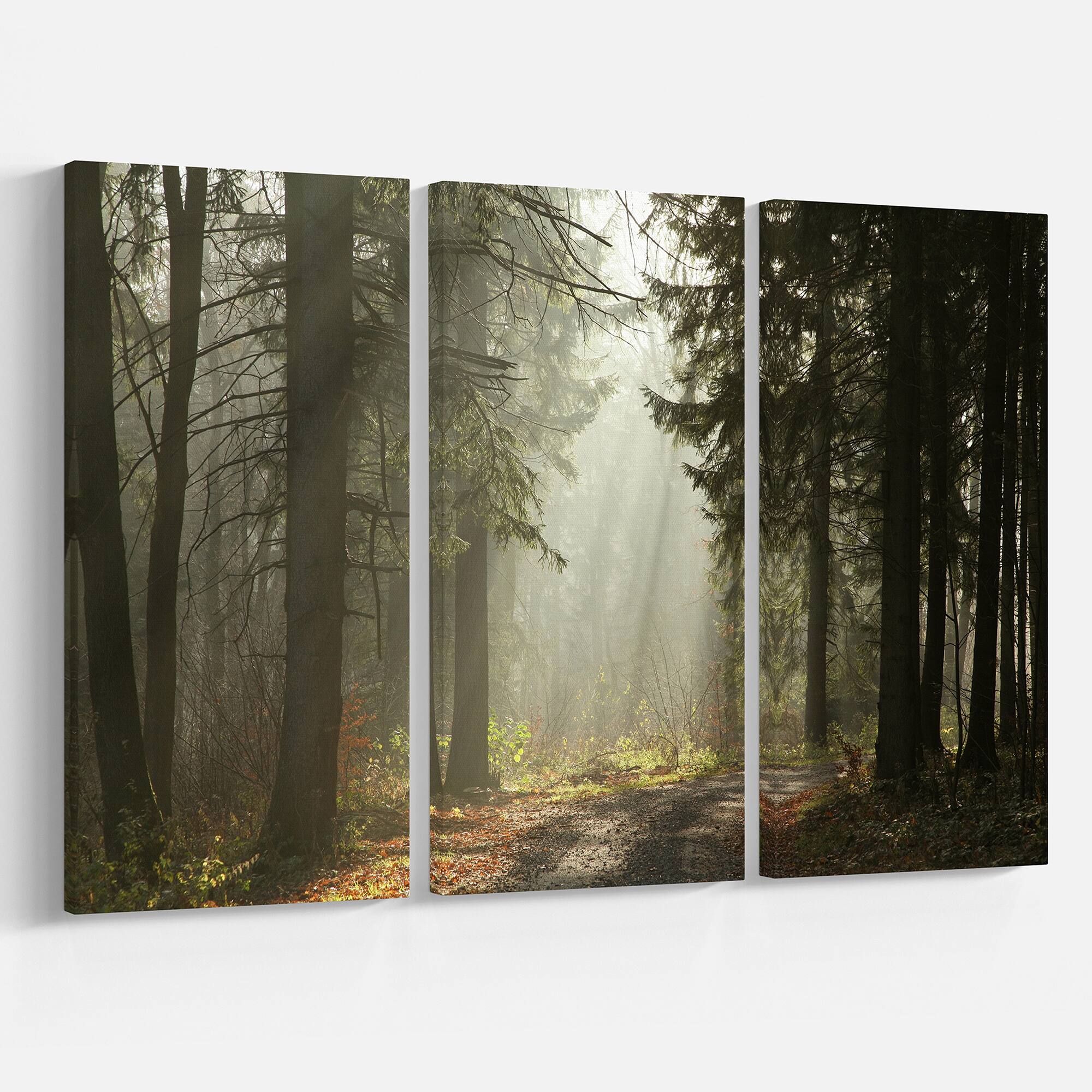 Designart - Dark Green Forest with Sun Rays