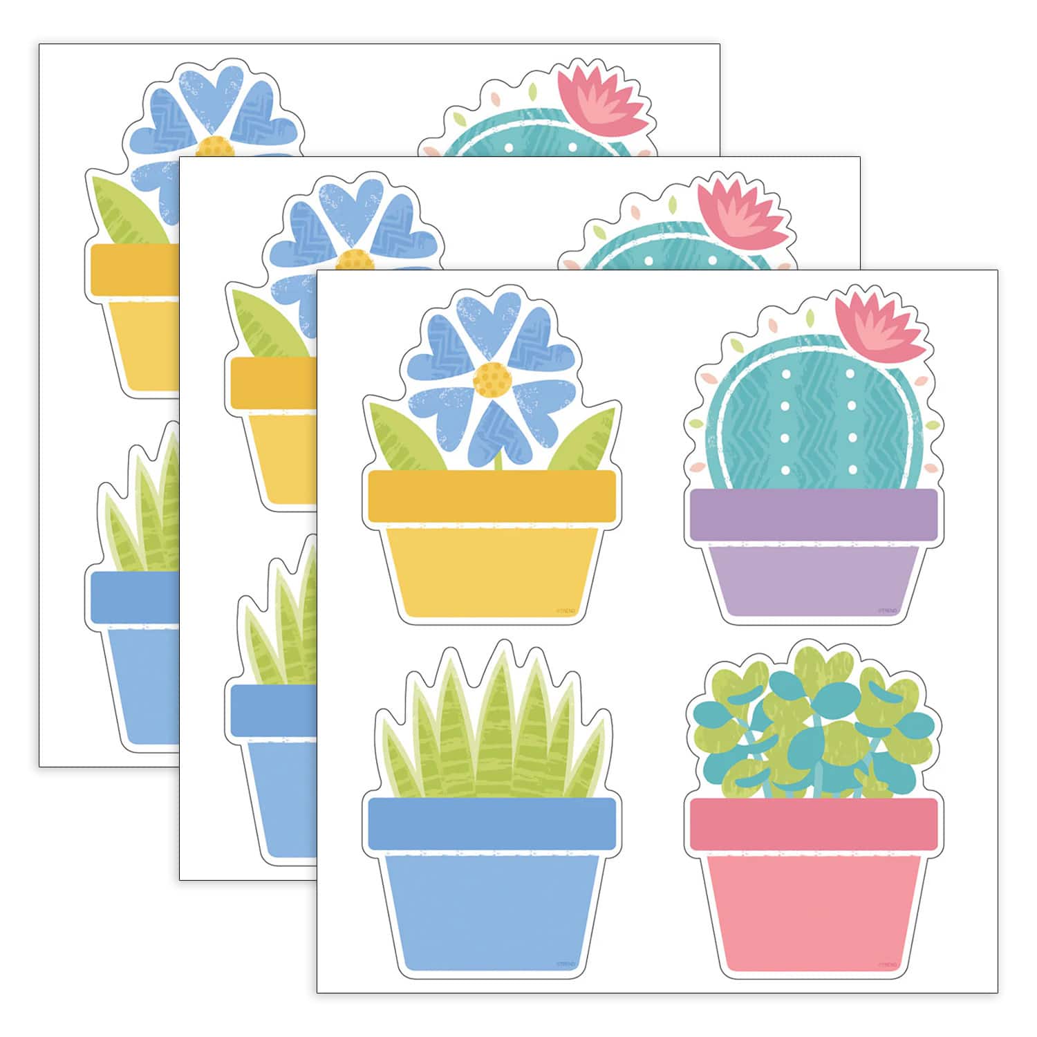 TREND Garden Plants Classic Accents® Variety, 3 Packs of 108