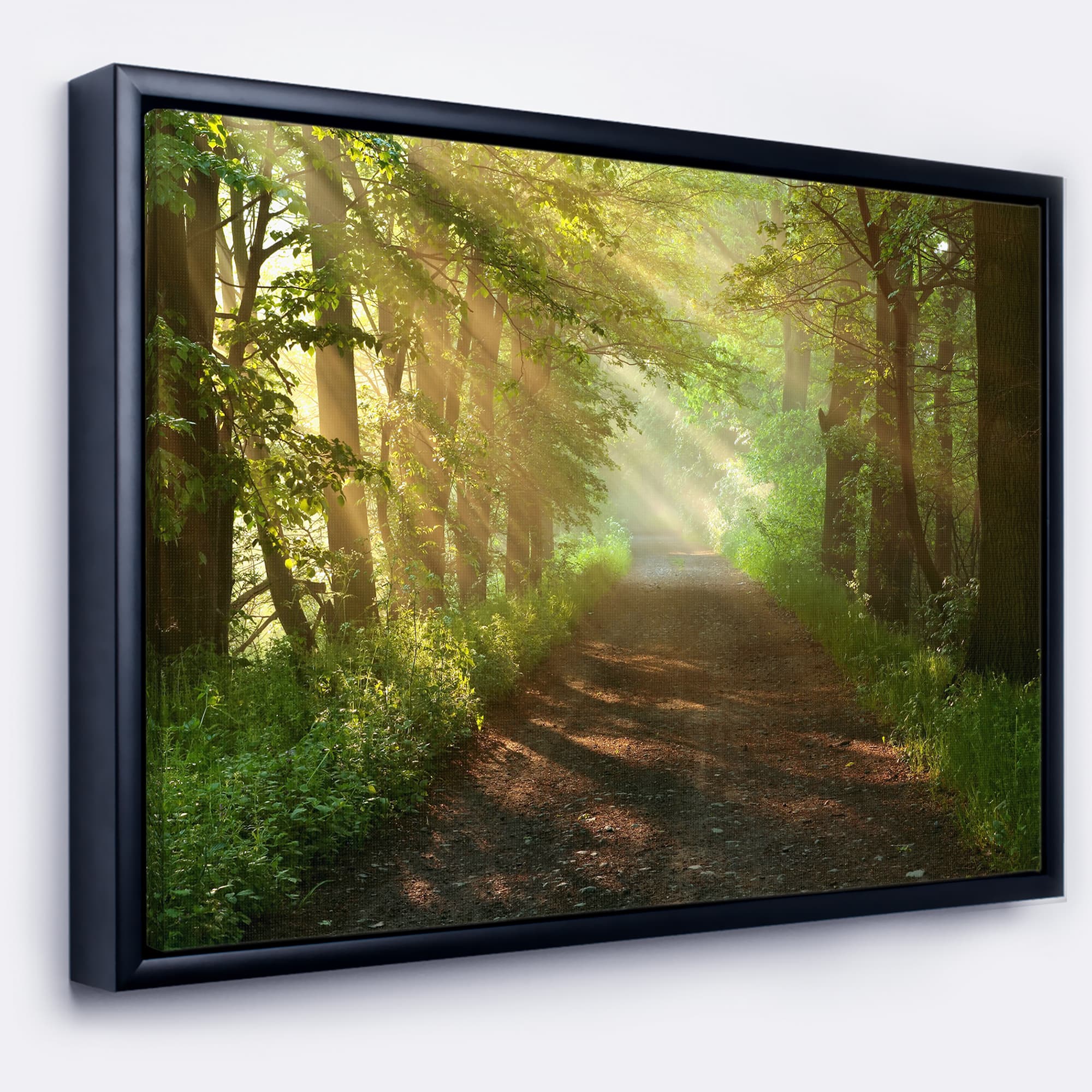 Designart - Suns Peeks into Forest - Landscape Photography Canvas Print in Black Frame