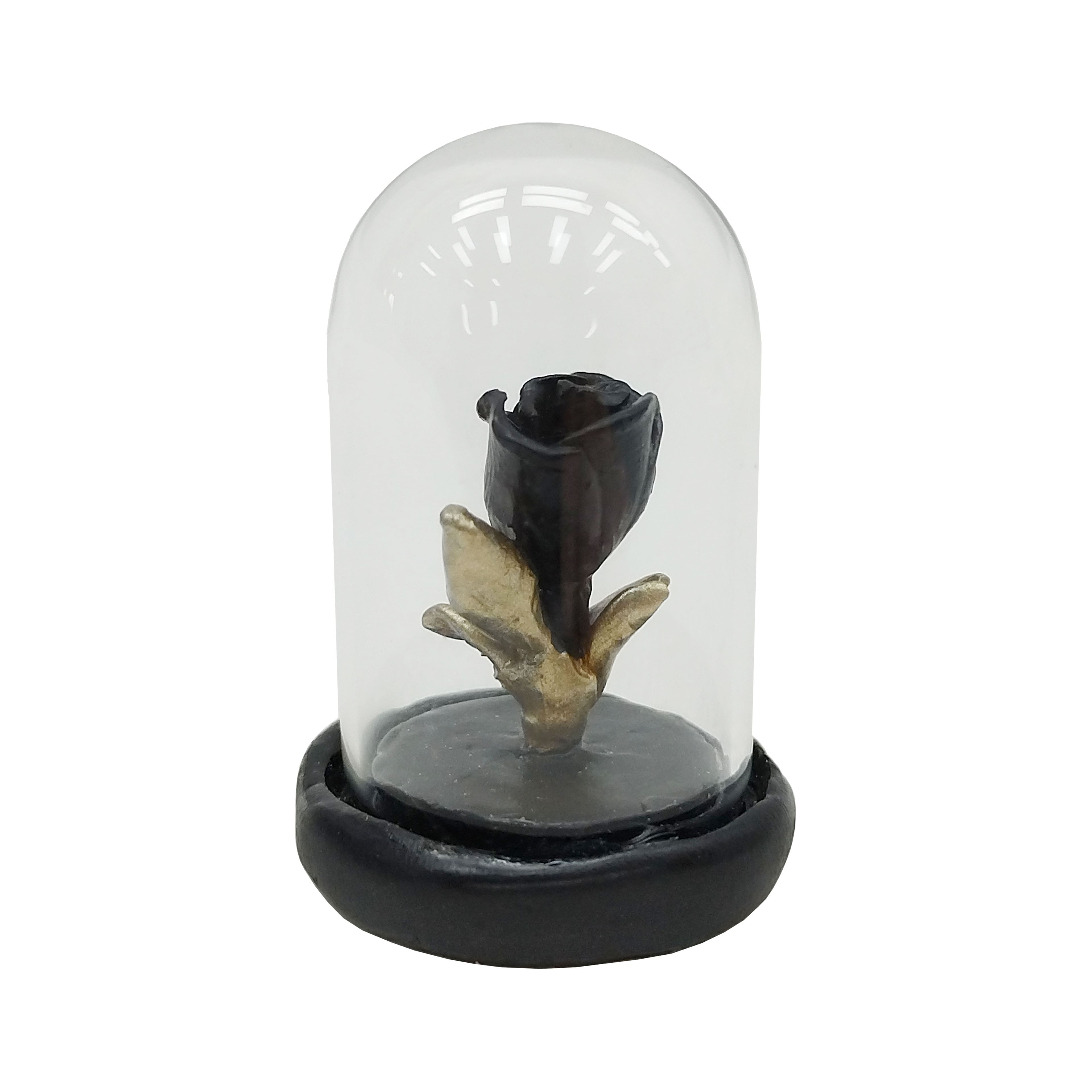 Mini Black Rose in Cloche by Ashland&#xAE;