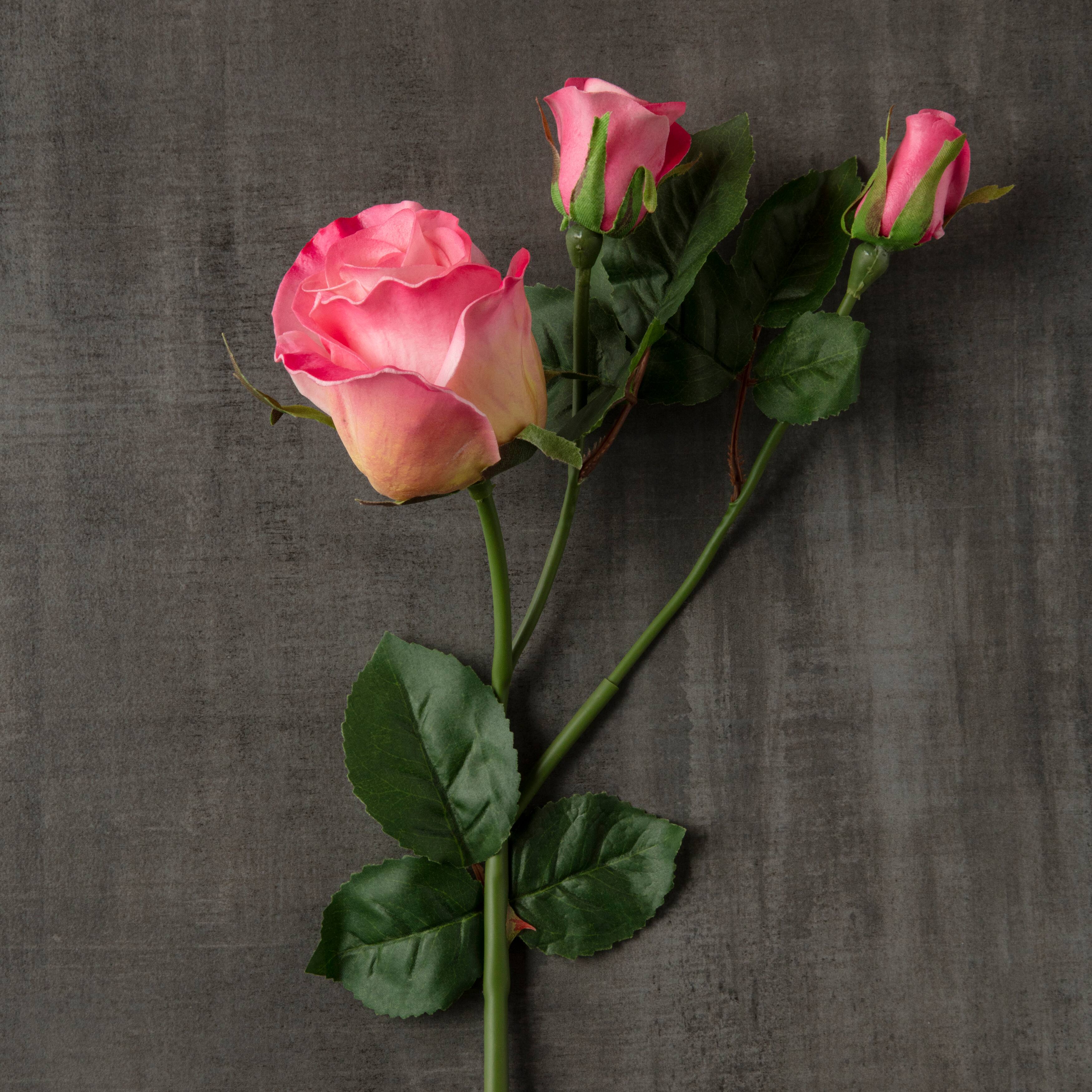 Pink Rose Stem by Ashland&#xAE;