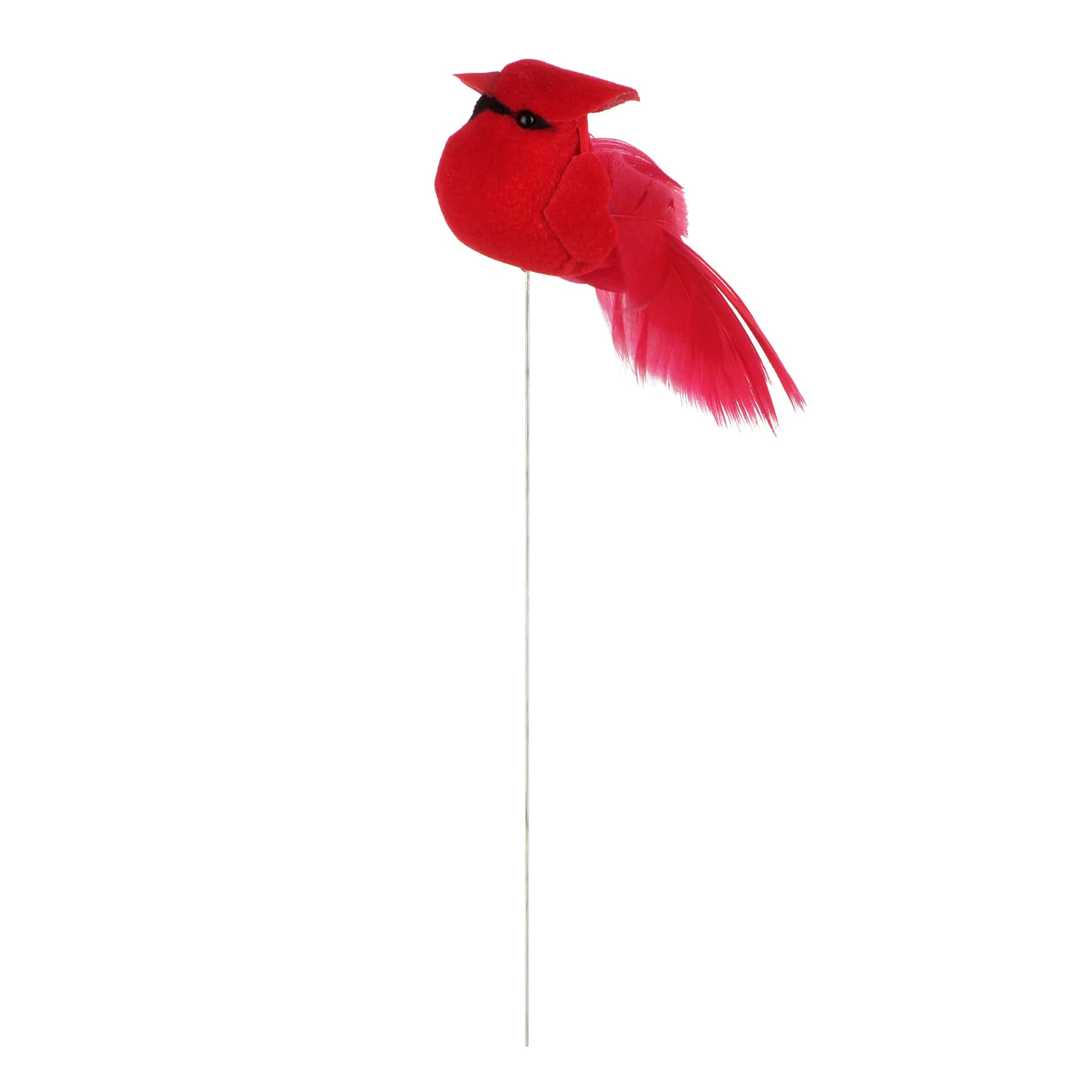 Red Cardinals, 4ct. by Ashland&#xAE;