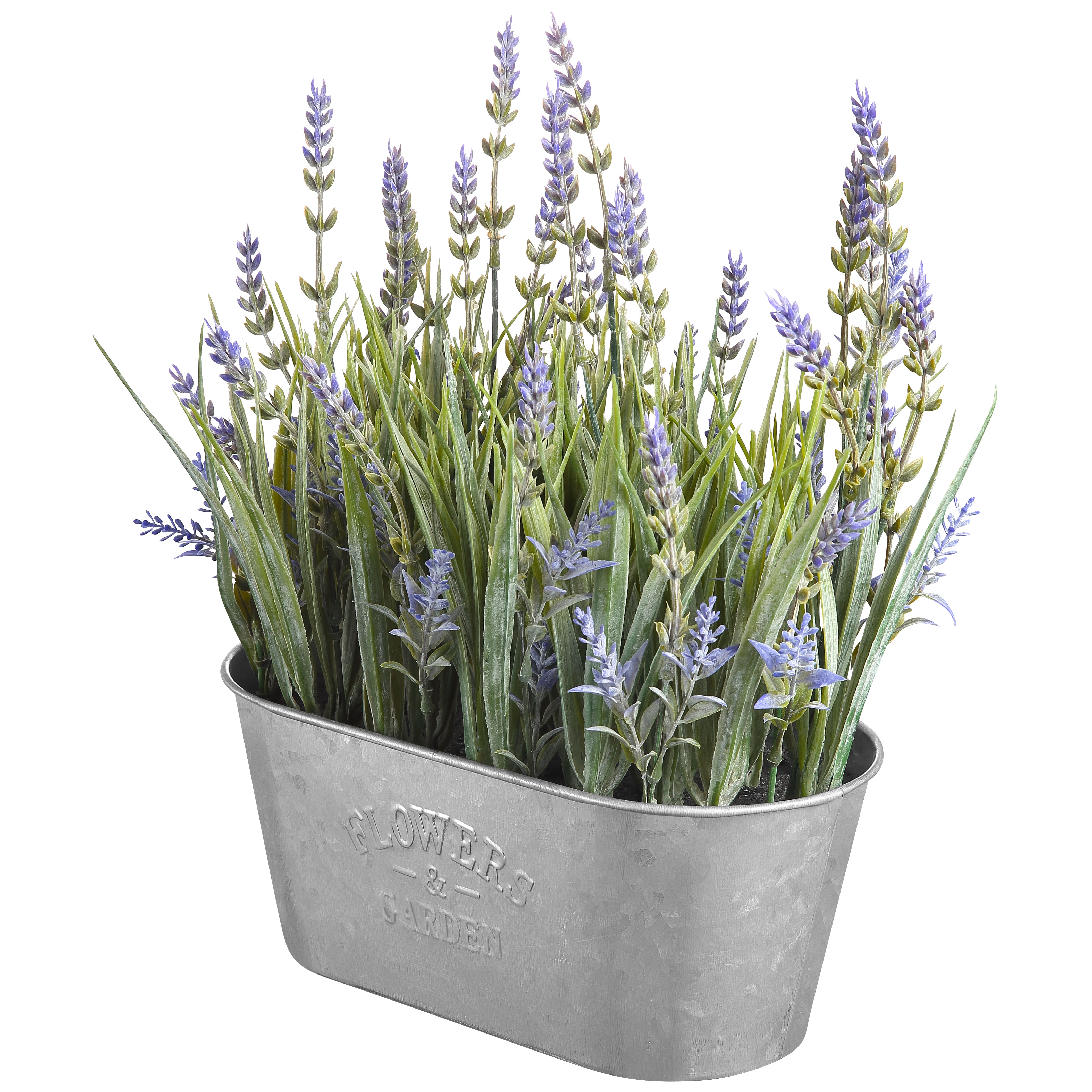 Haute Decor 10&#x22; Lavender In Galvanized Metal Pot
