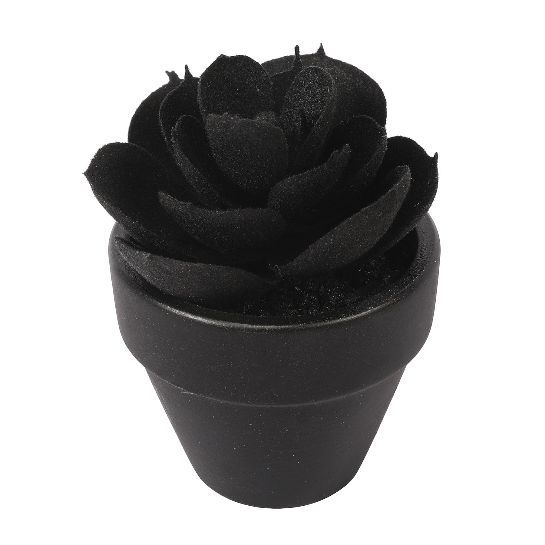 Assorted Mini Potted Succulent by Ashland&#xAE;, 1pc.