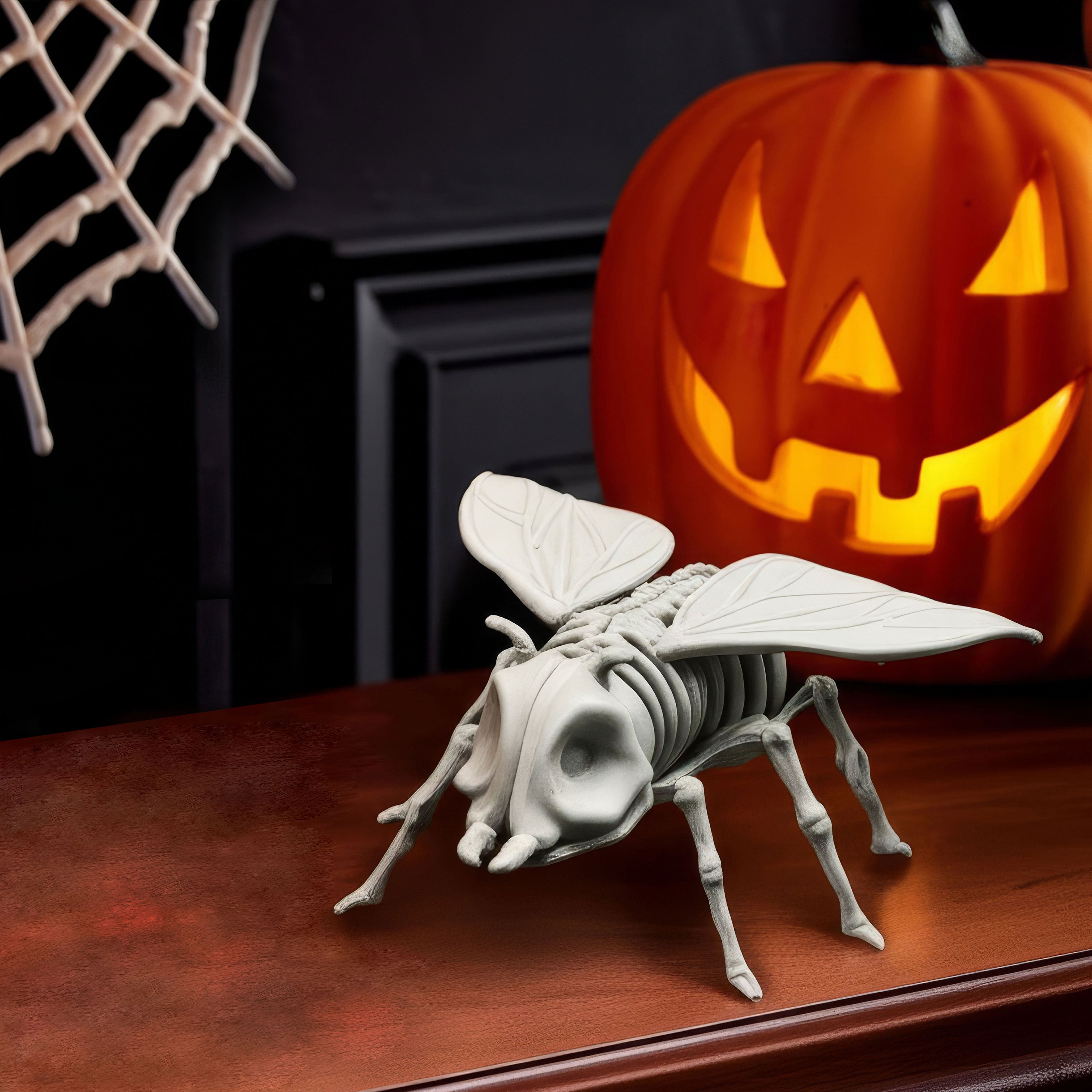 5.25&#x22; Fly Skeleton by Ashland&#xAE;
