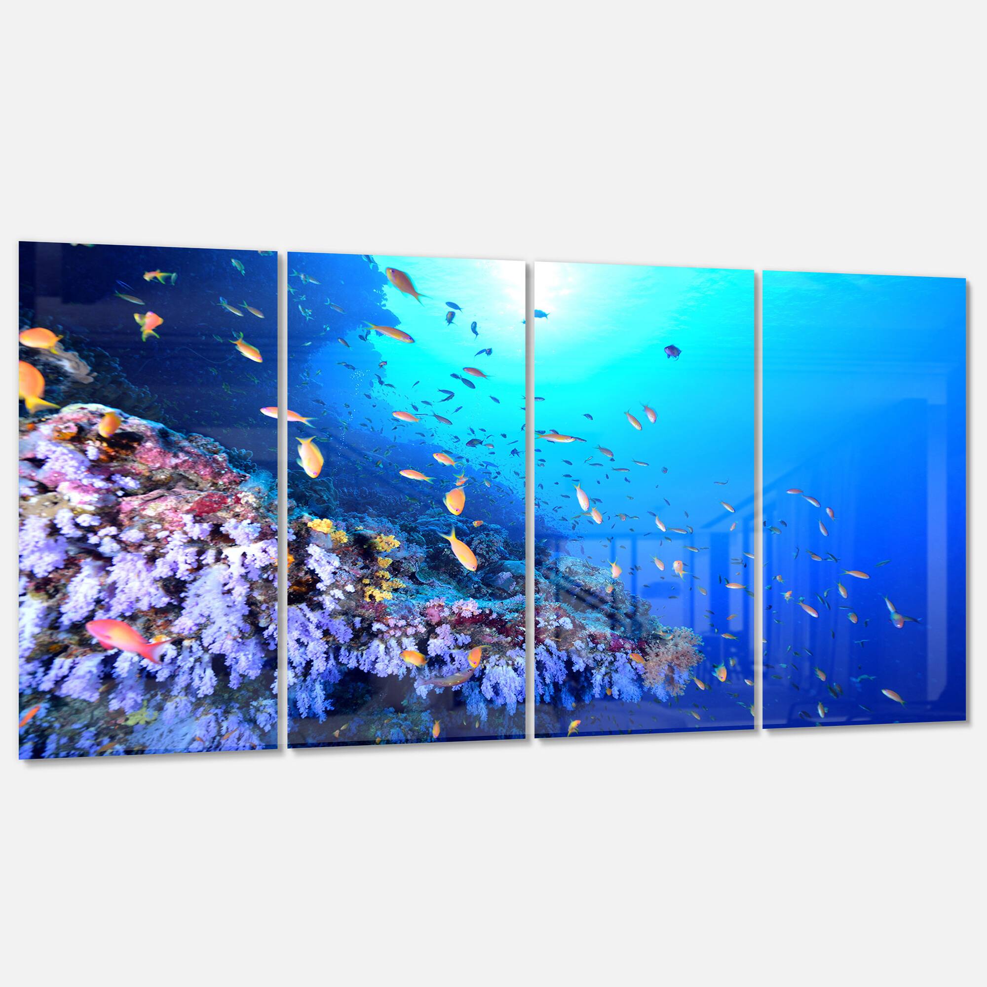 Designart - Coral Reef With Different fish Swimming