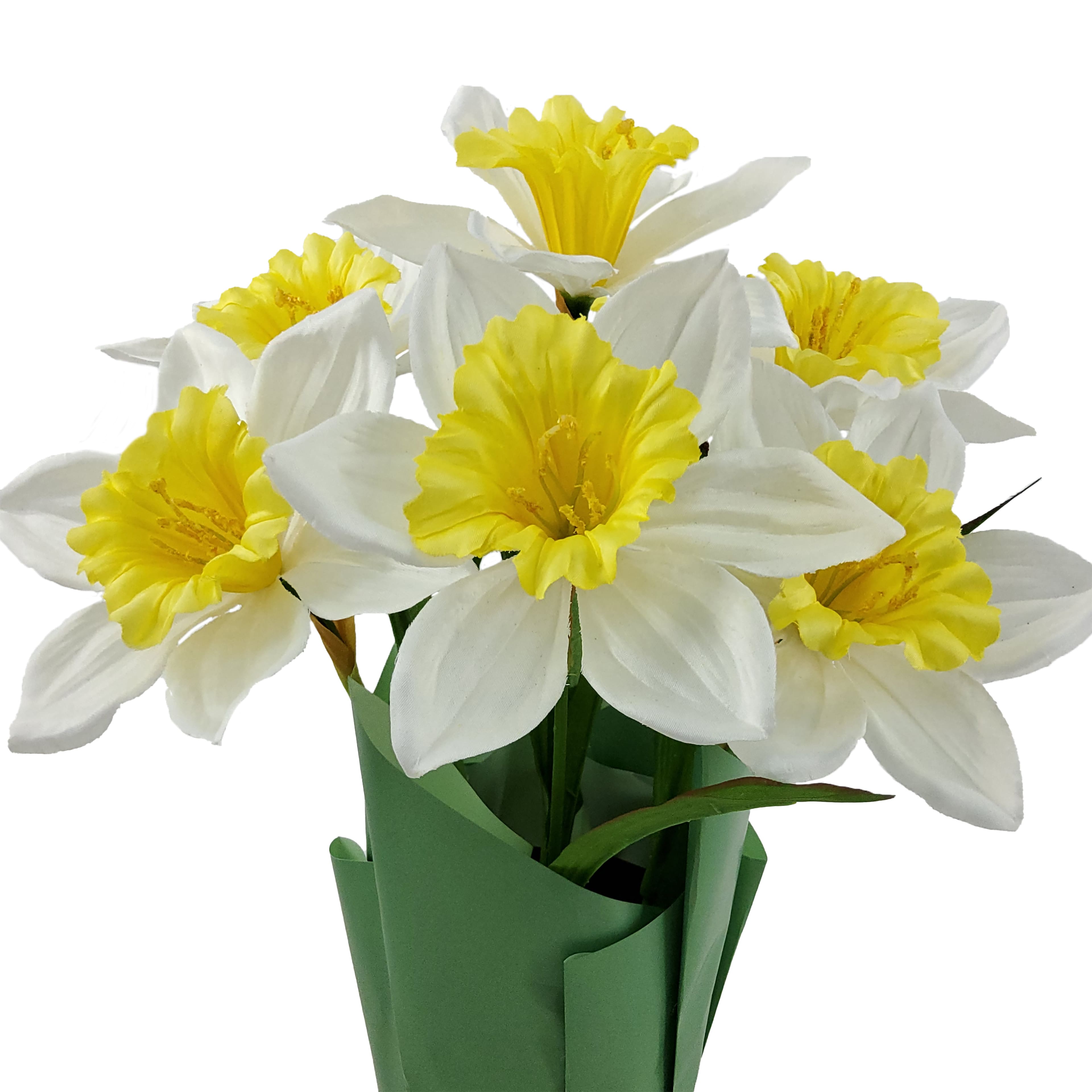 14&#x22; Potted Daffodil Plant by Ashland&#xAE;