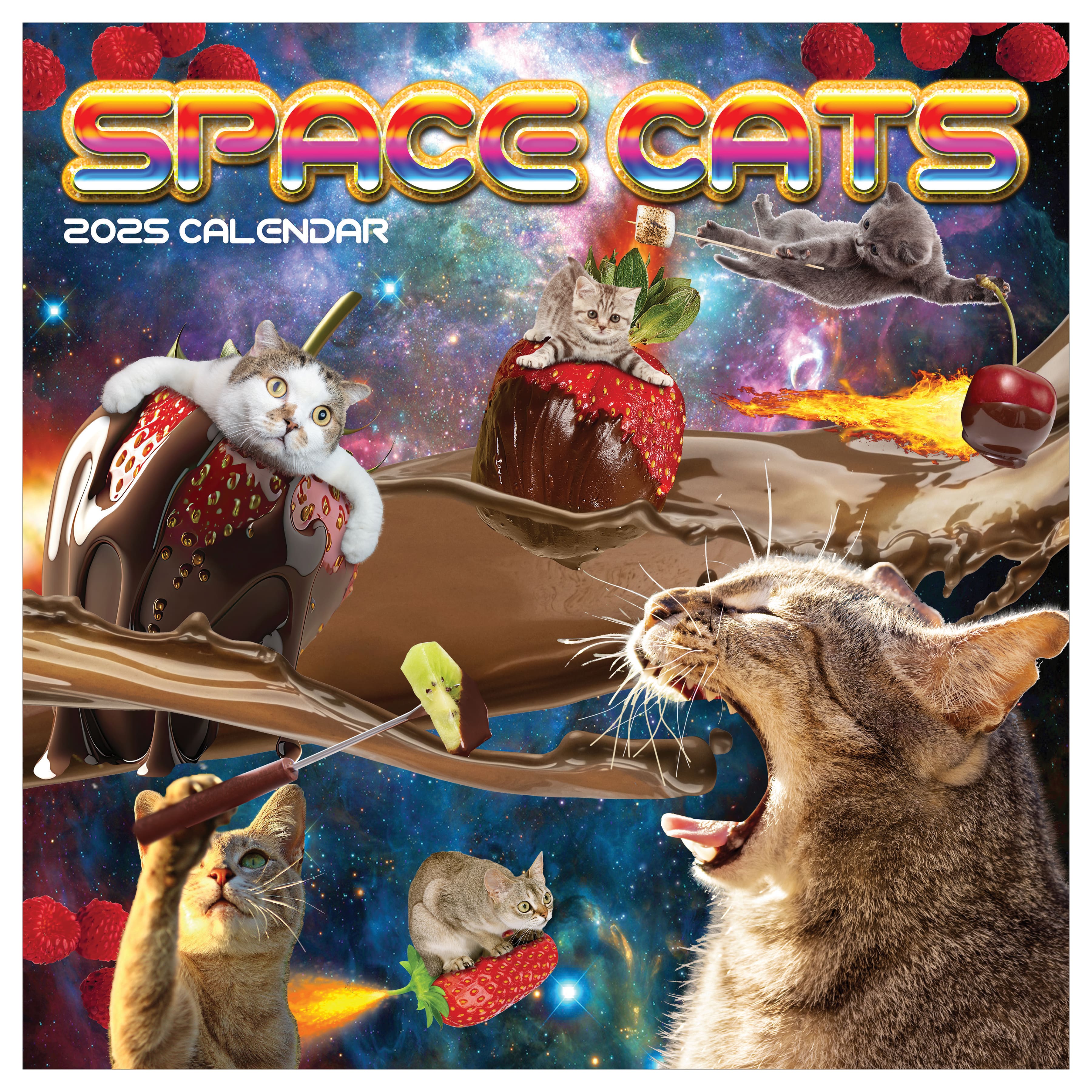 TF Publishing 2025 Space Cats Wall Calendar