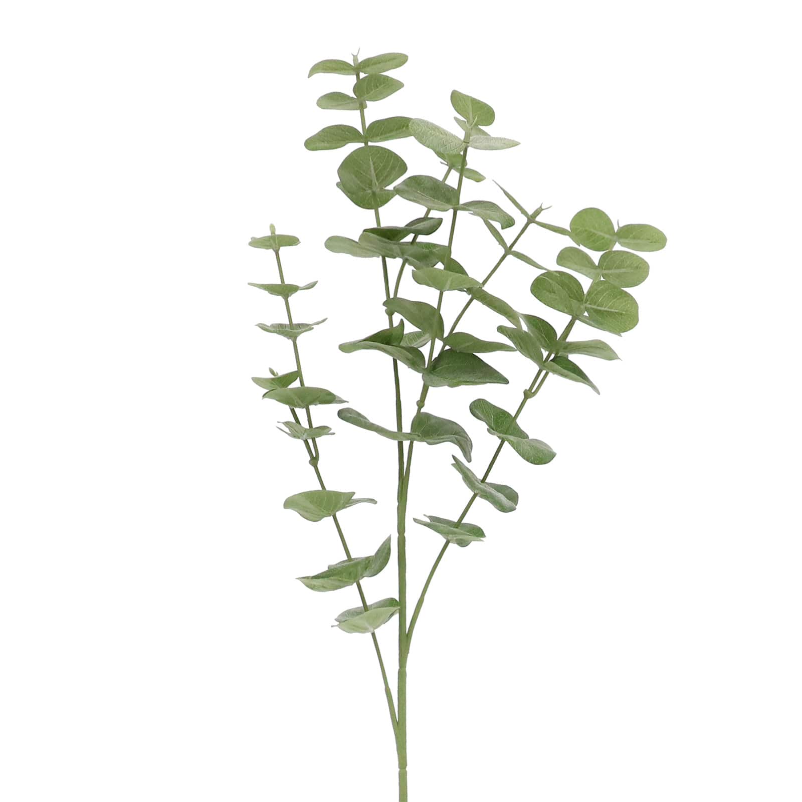 12 Pack: 29" Green Gunni Eucalyptus Stem by Ashland®
