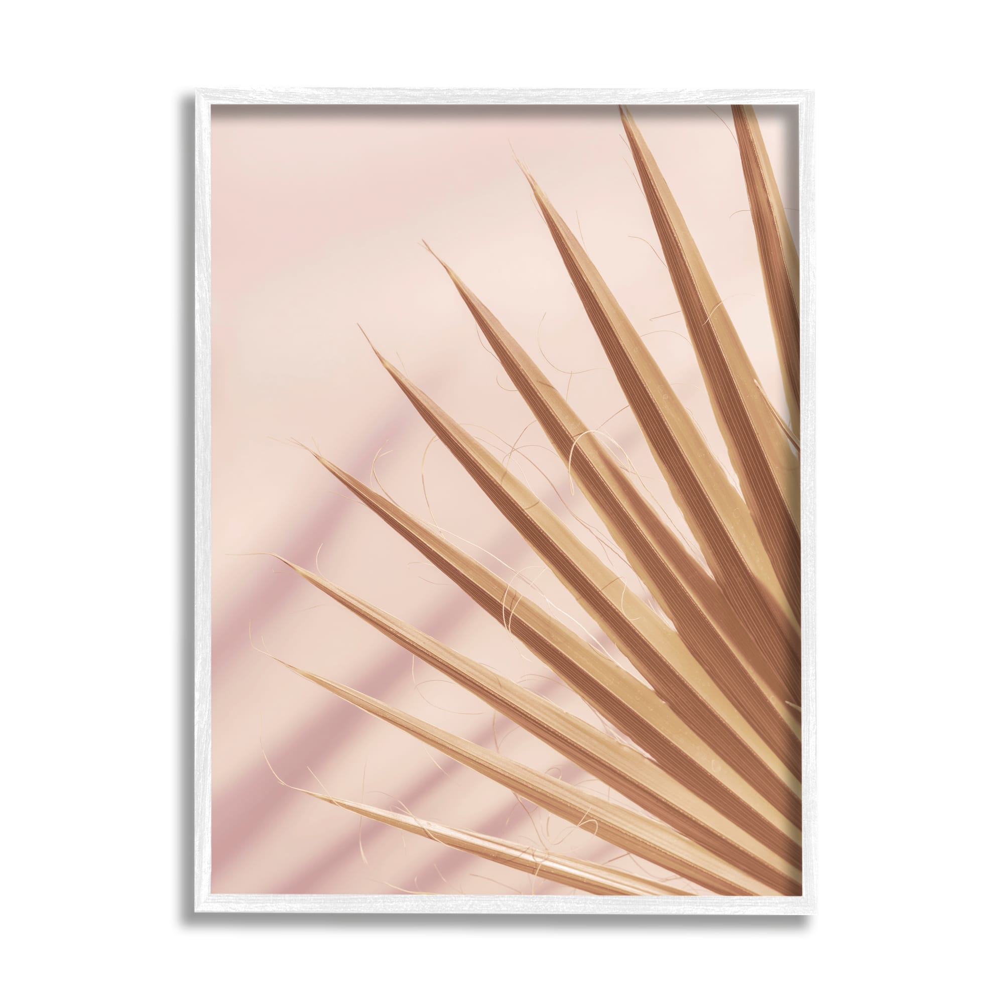 Stupell Industries Palm Frond Photograph Expressive Tropical Plant Sun Bleached Framed Wall Art