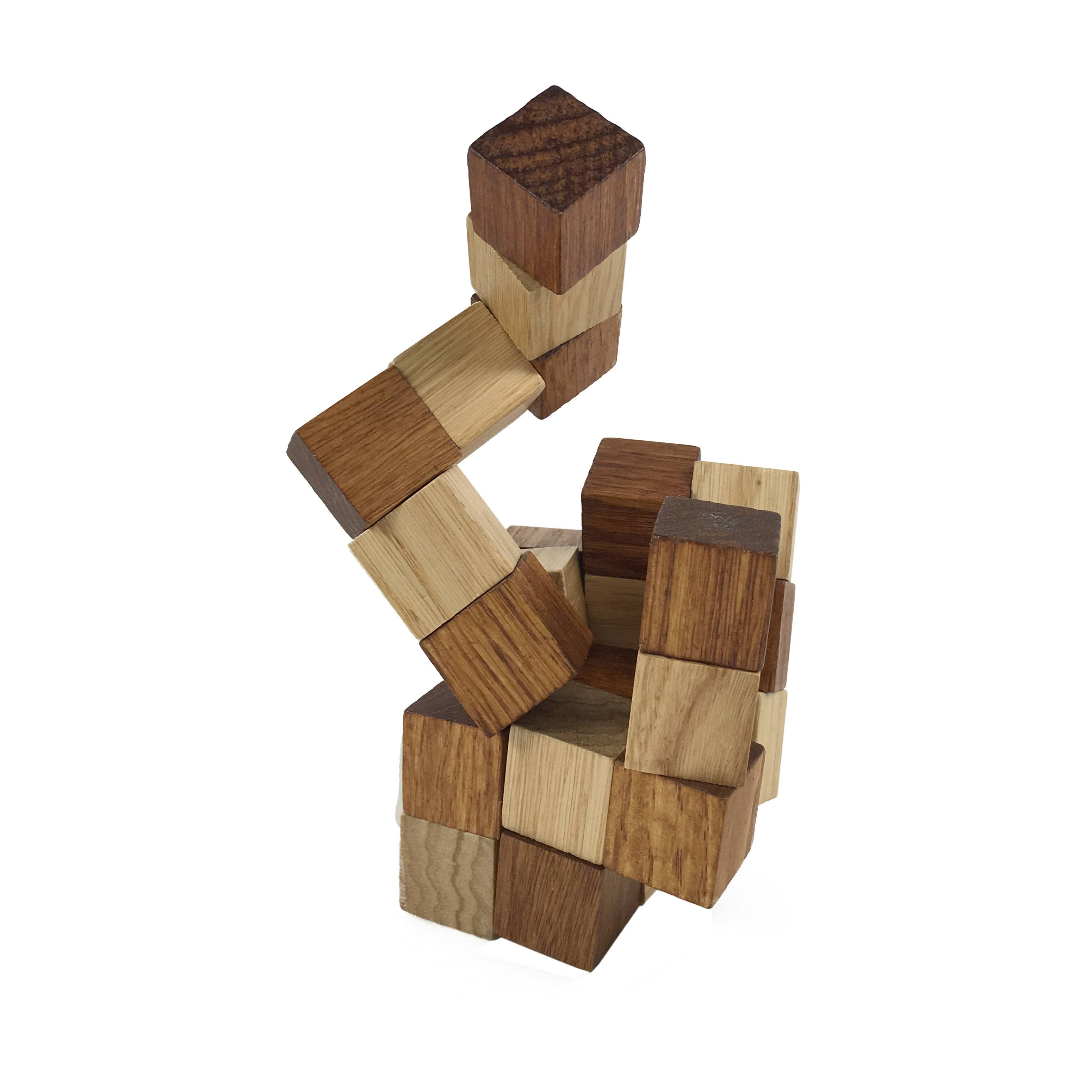 Star™, Snake™, Prisoner's Dilemma™ Brainteasers