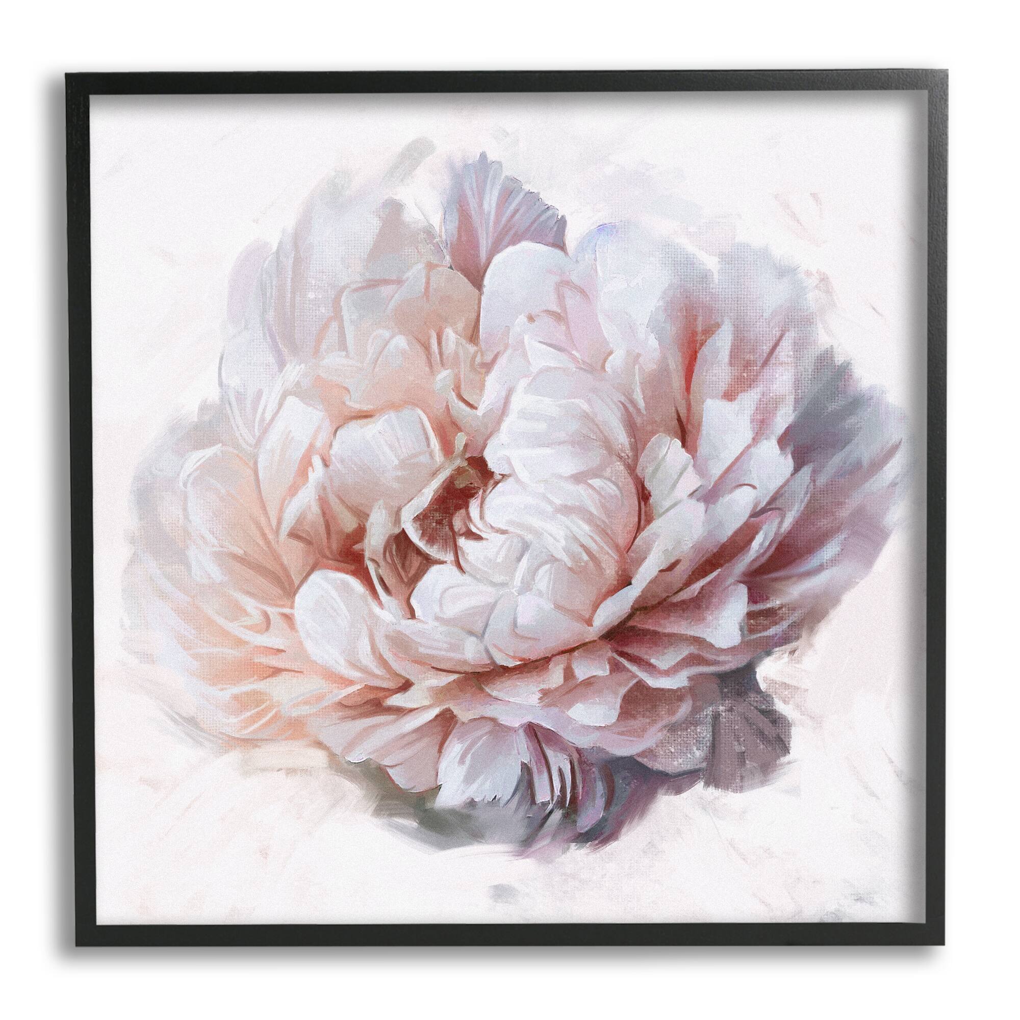 Stupell Industries Detailed Peony Petals Framed Giclee Art