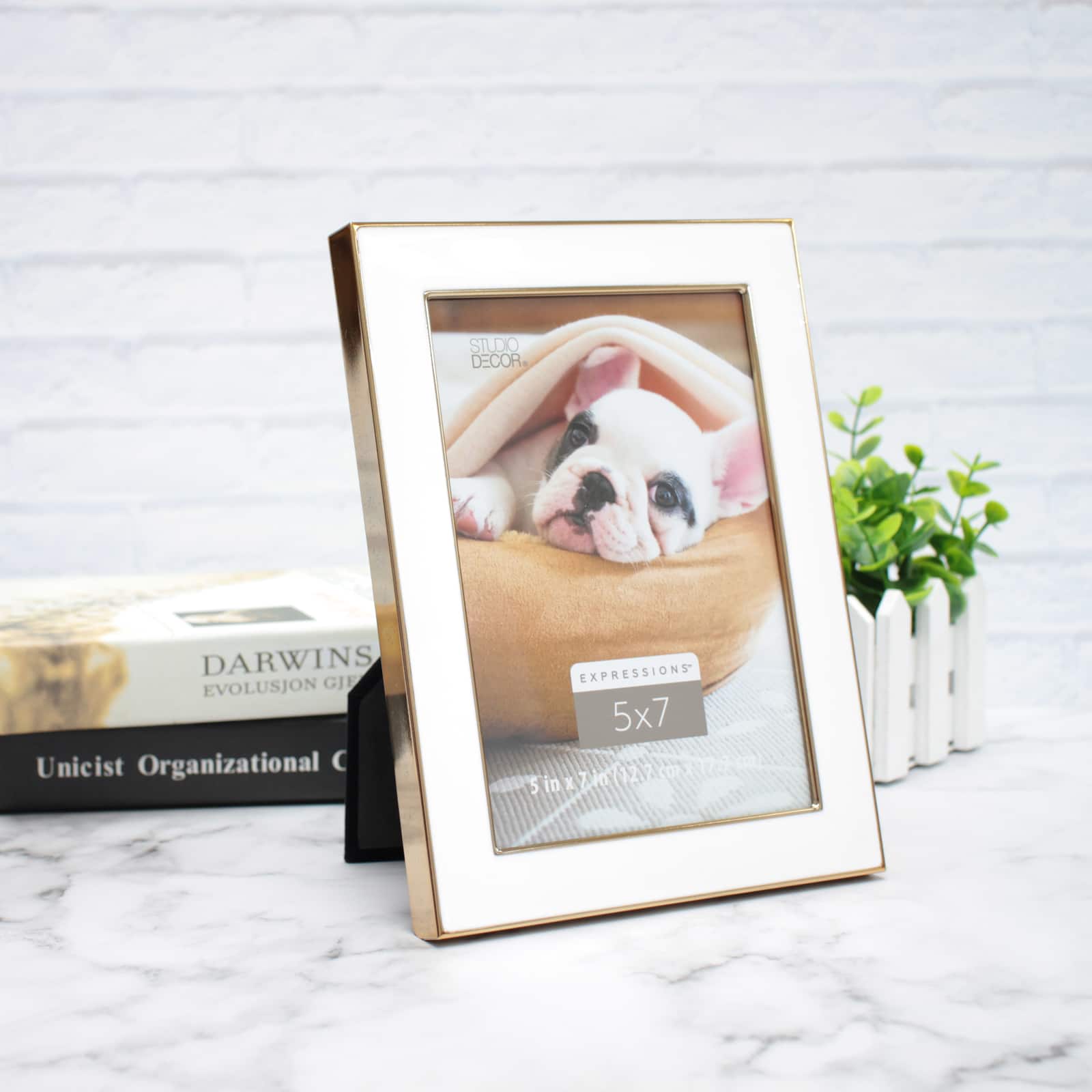 12 Pack: White with Gold Outline 5" x 7" Frame, Expressions™ by Studio Décor®