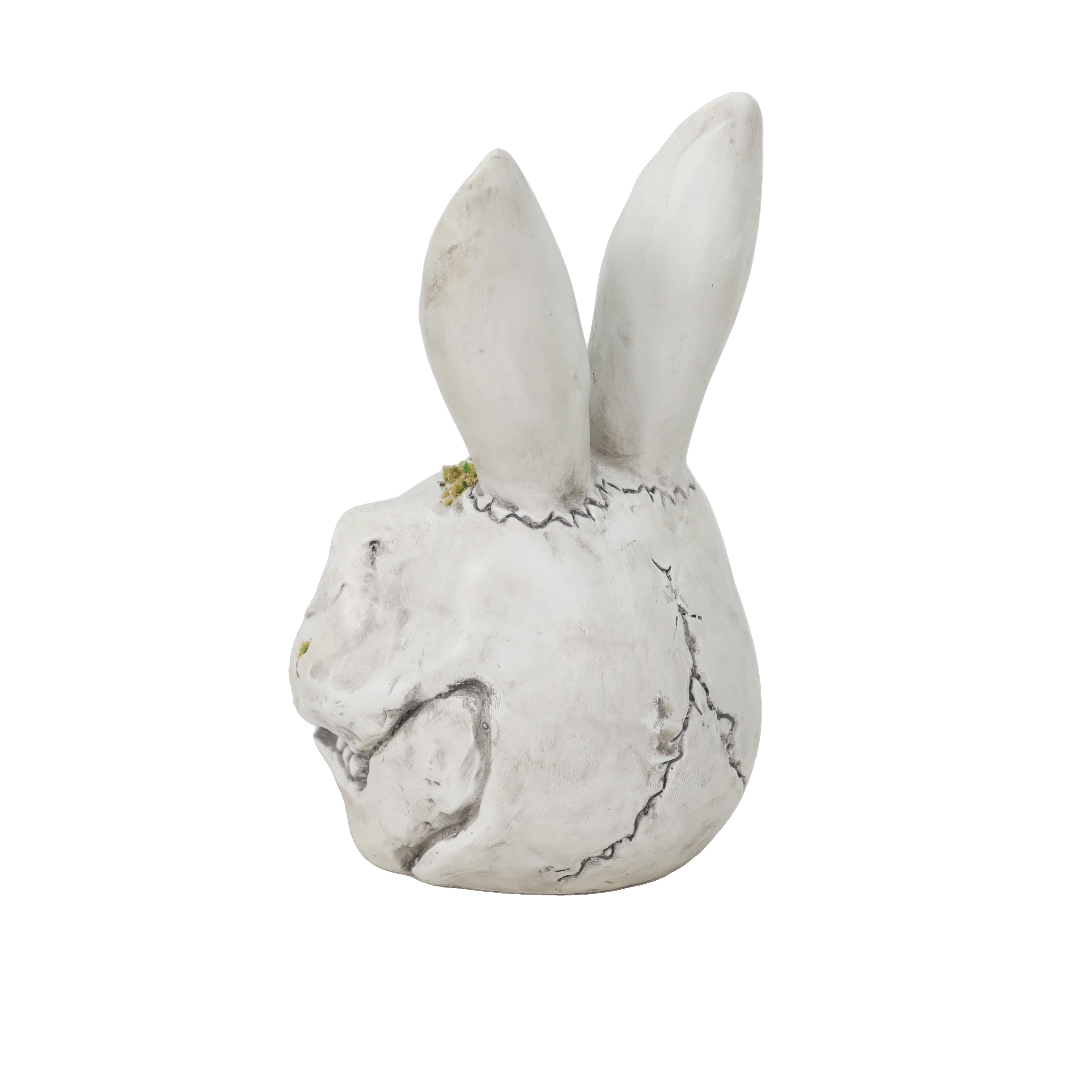 5.75&#x22; Rabbit Skull by Ashland&#xAE;