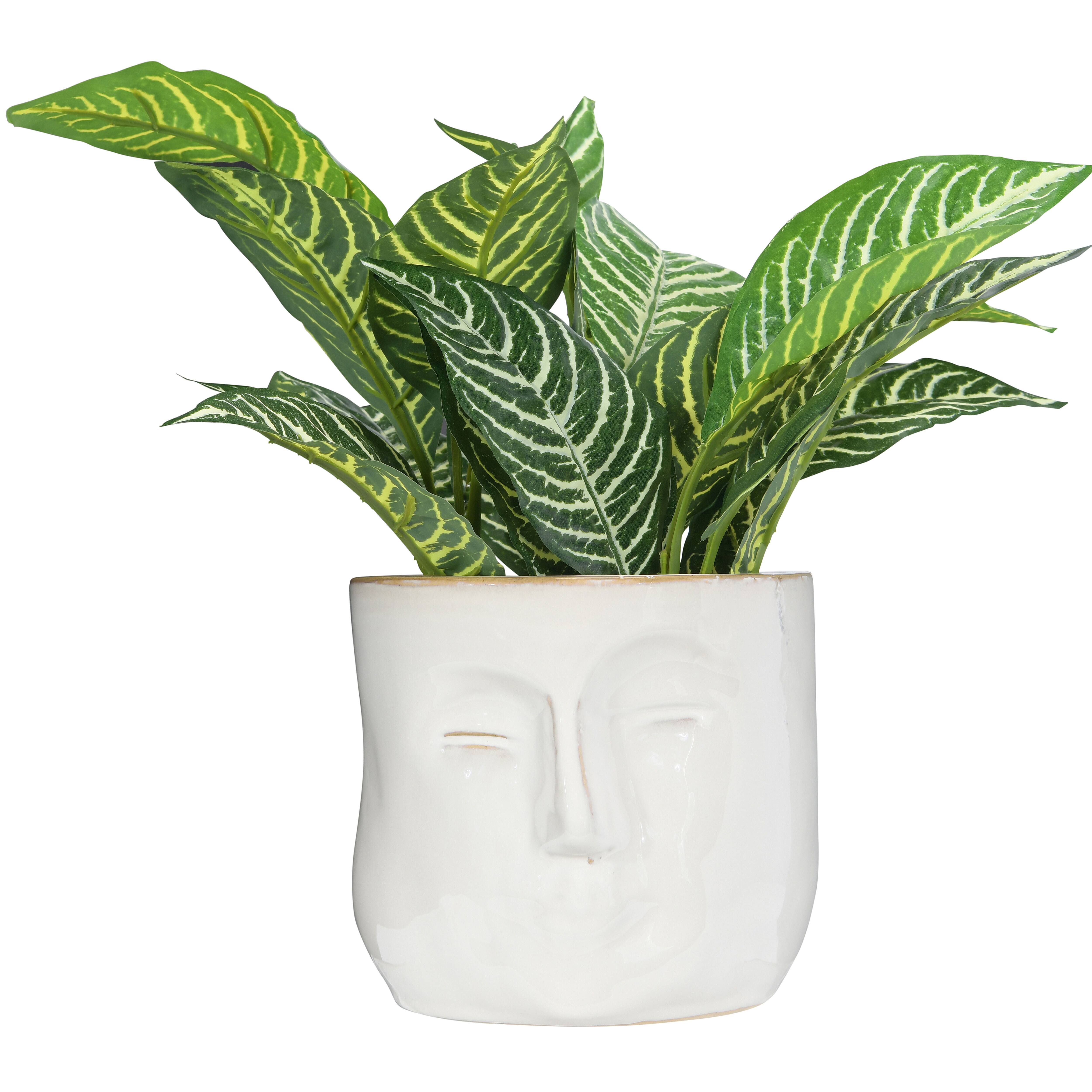 Hello Honey® 7" White Stoneware Planter with Face