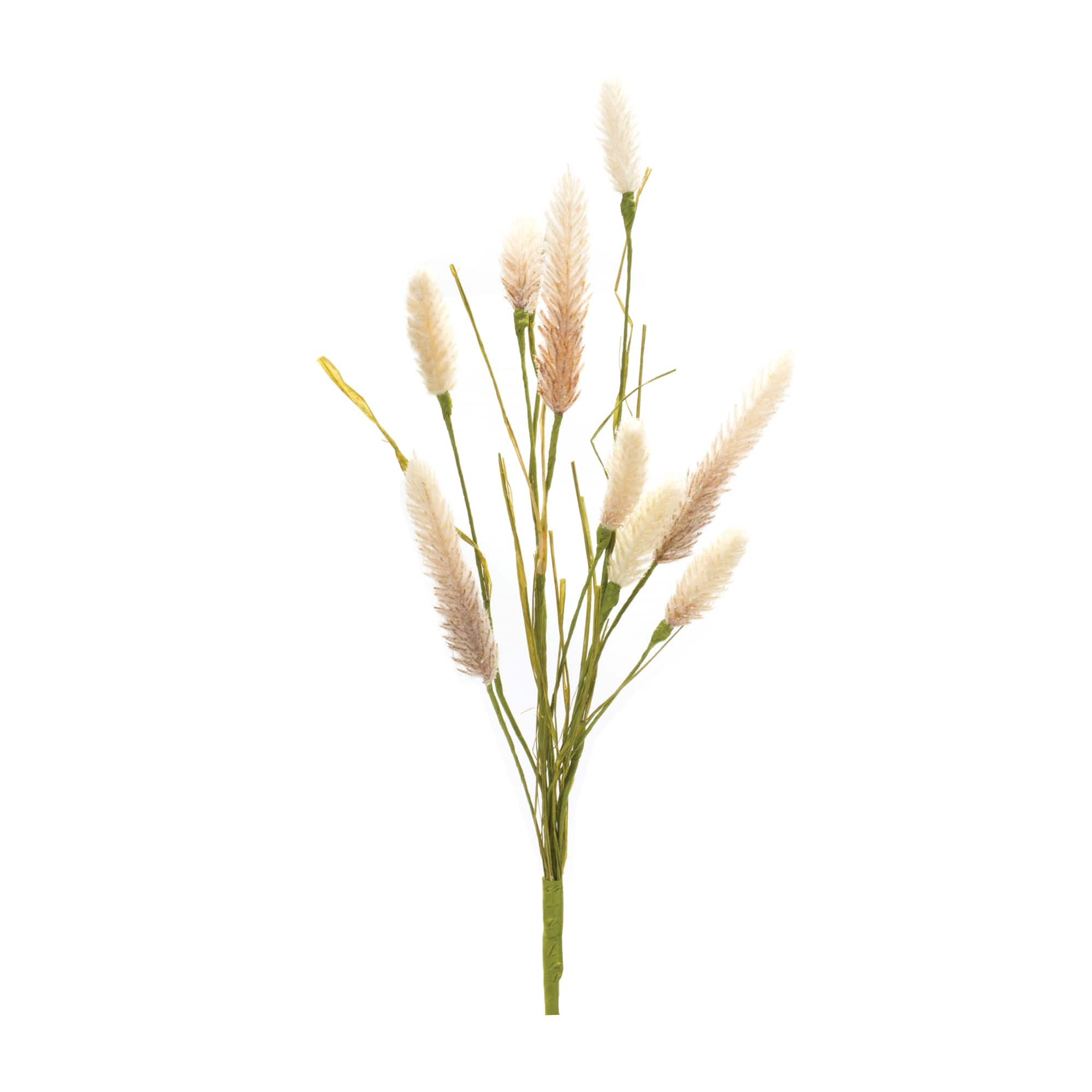 White Foxtail Spray, 6ct.