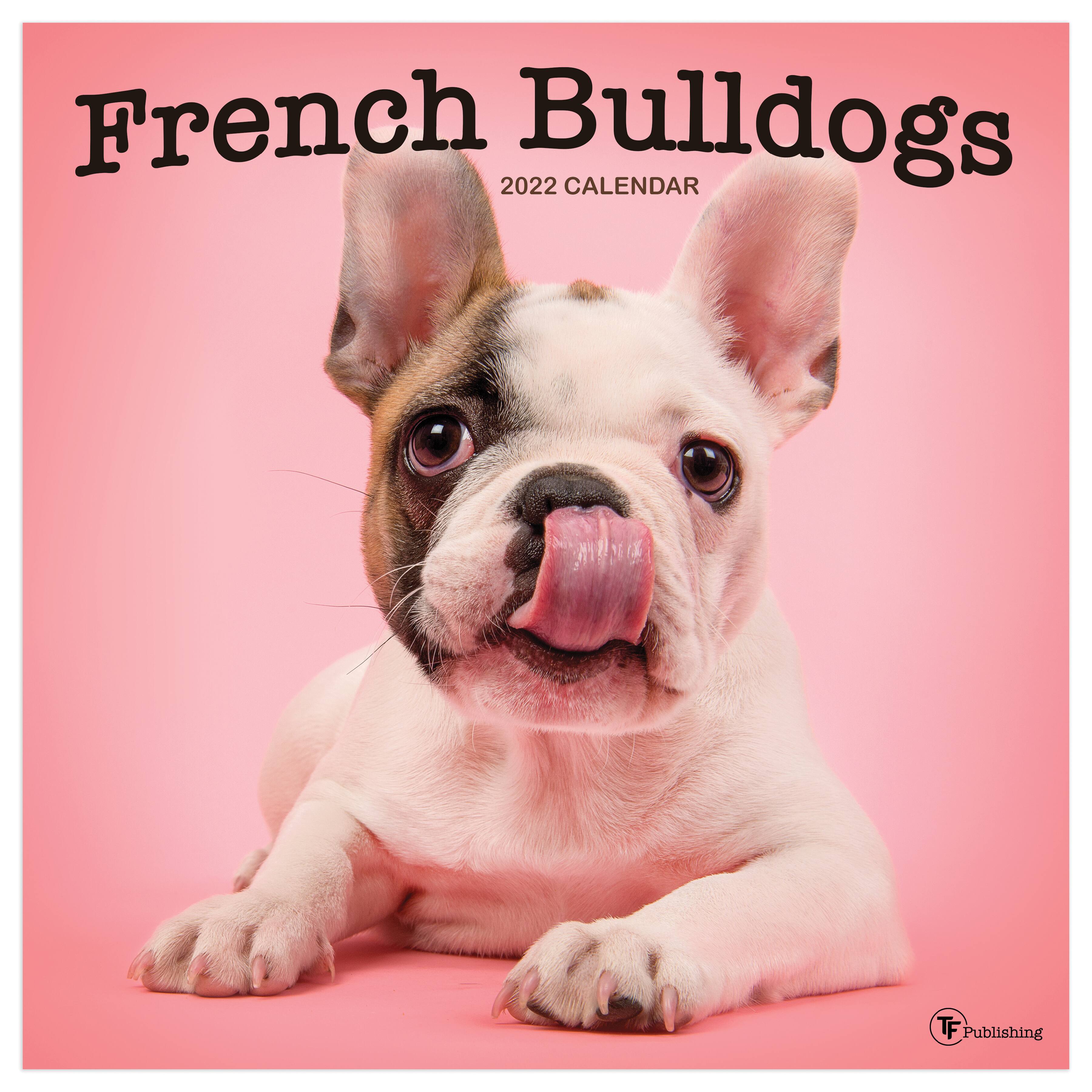 Bulldog Schedule 2022 Tf Publishing 2022 French Bulldogs Wall Calendar | Michaels