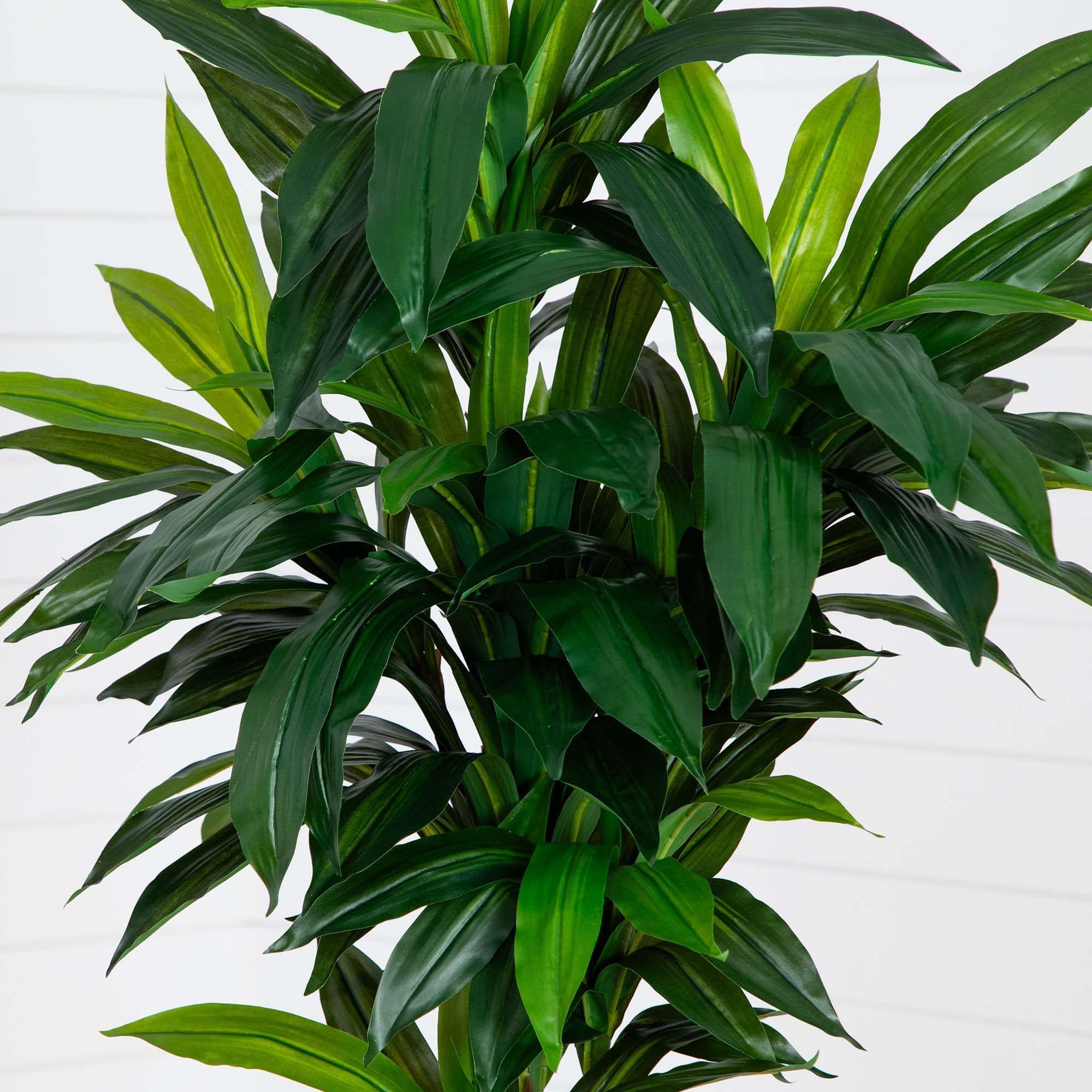 7ft. Potted Green Artificial Dracaena Tree with Real Touch Leaves