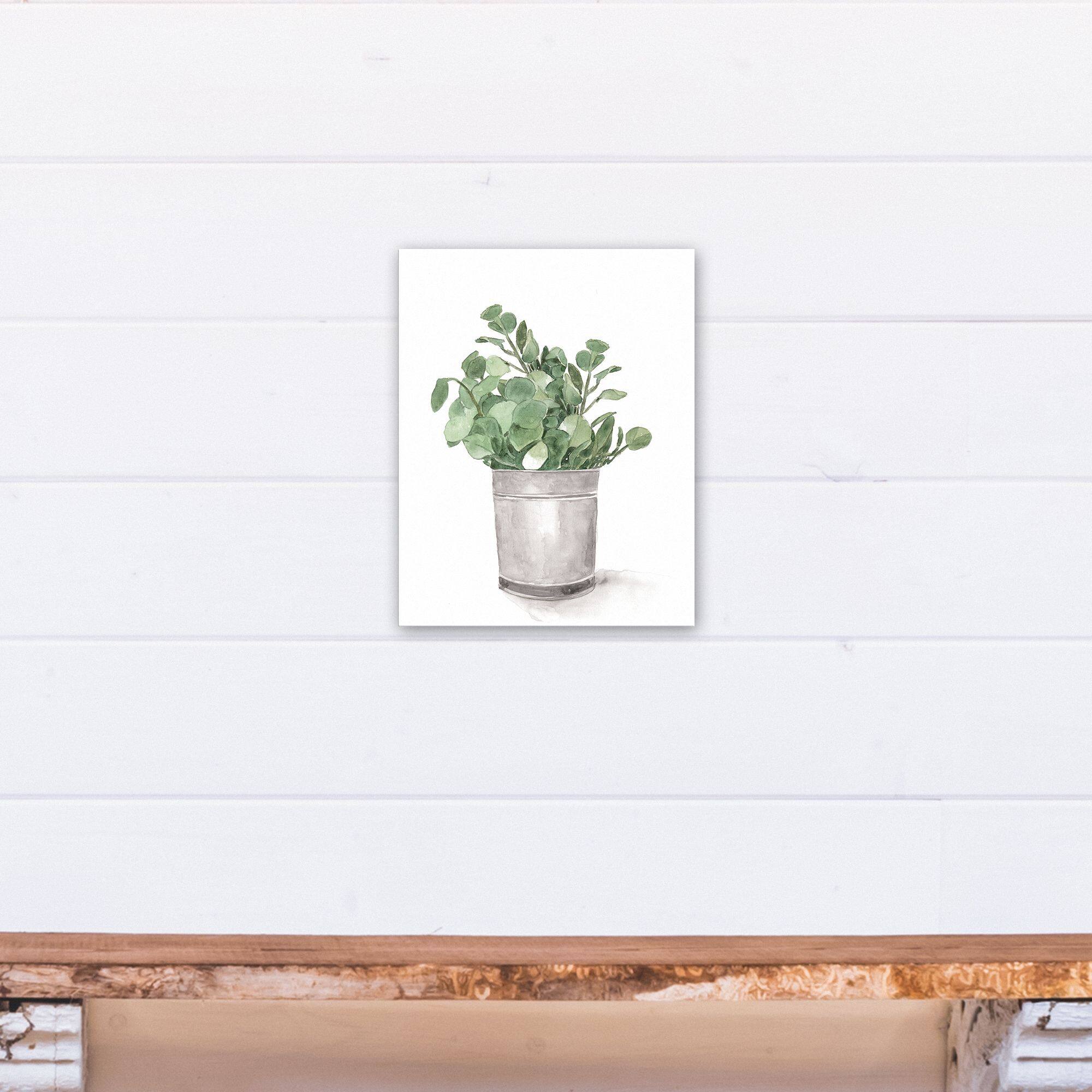 Bucket of Eucalyptus 11&#x22; x 14&#x22; Canvas Wall Art