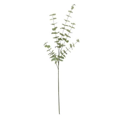 Tall Dusty Green Eucalyptus Stem by Ashland® | Michaels