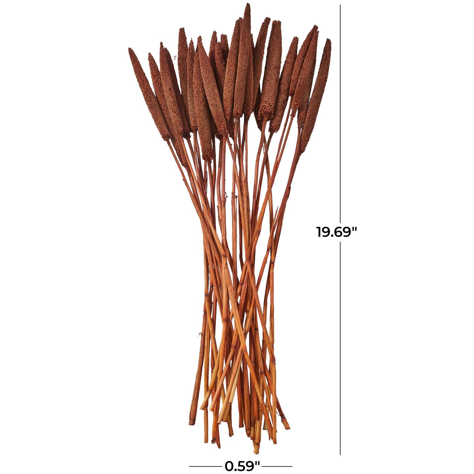 Dried Plant Bunny Tail Natural Foliage with Long Stems