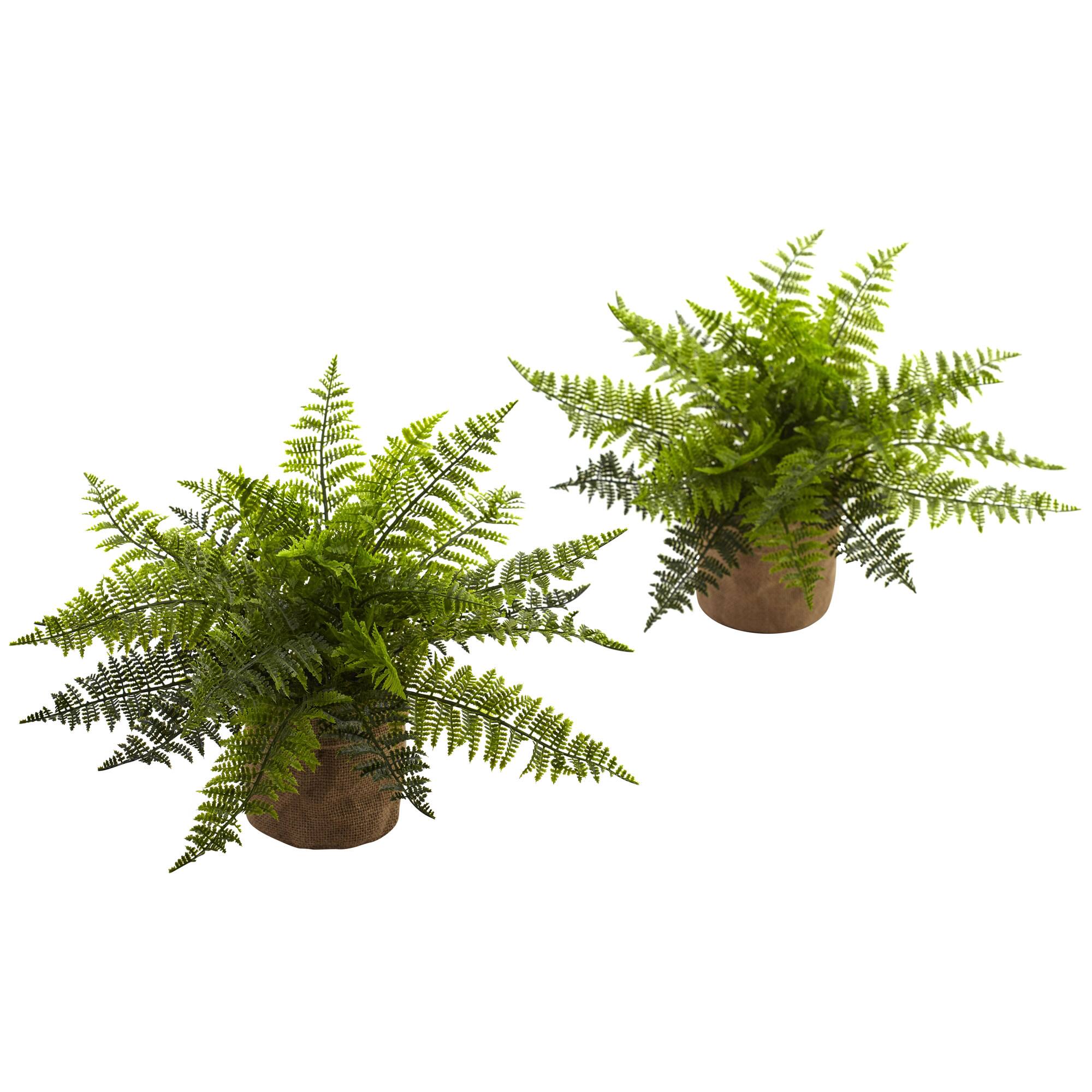15" Ruffle Fern Bush with Burlap Base, 2ct.