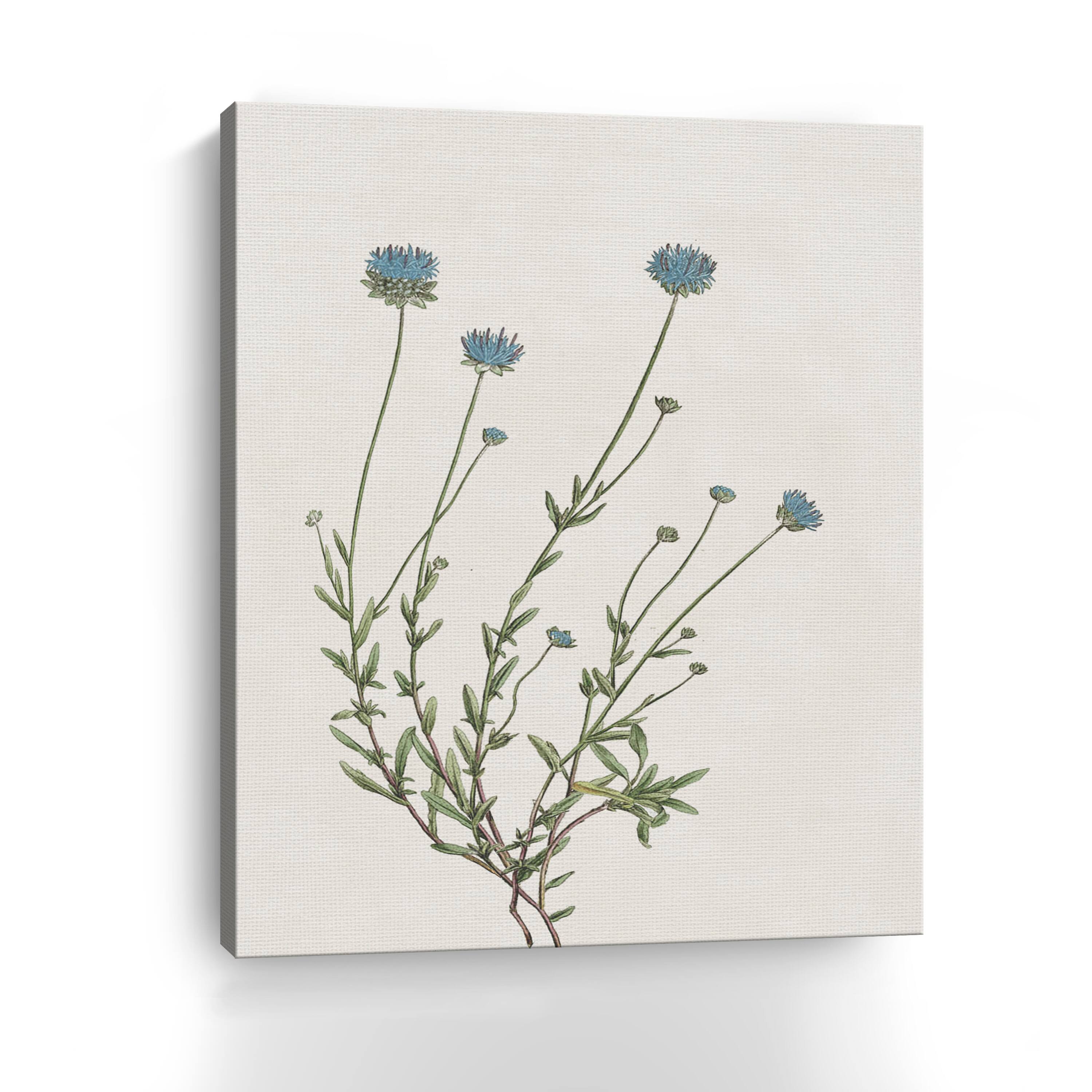 Blue Wispy I Canvas Giclee