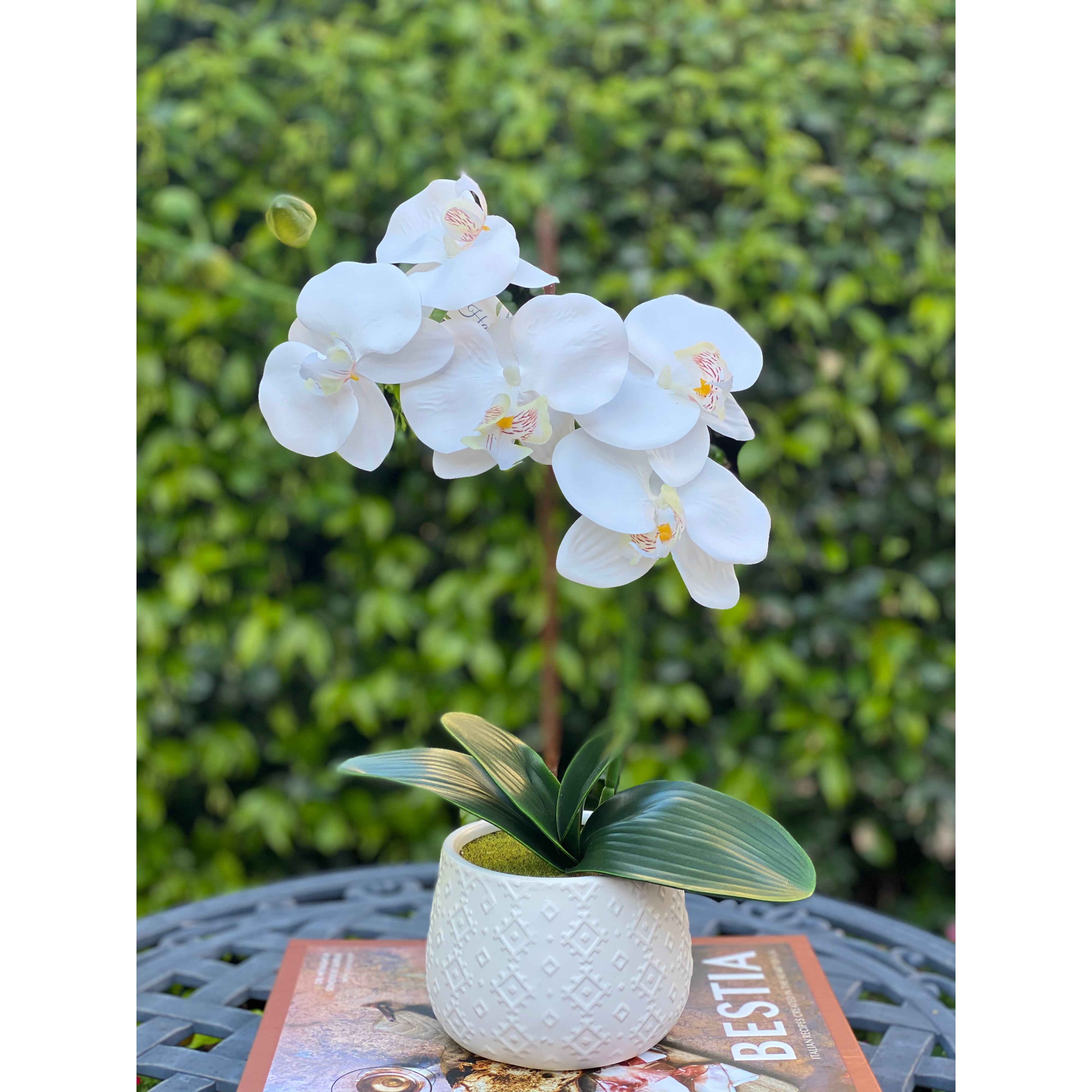 Flora Bunda® 16" Real-Touch Orchid in Ceramic Pot