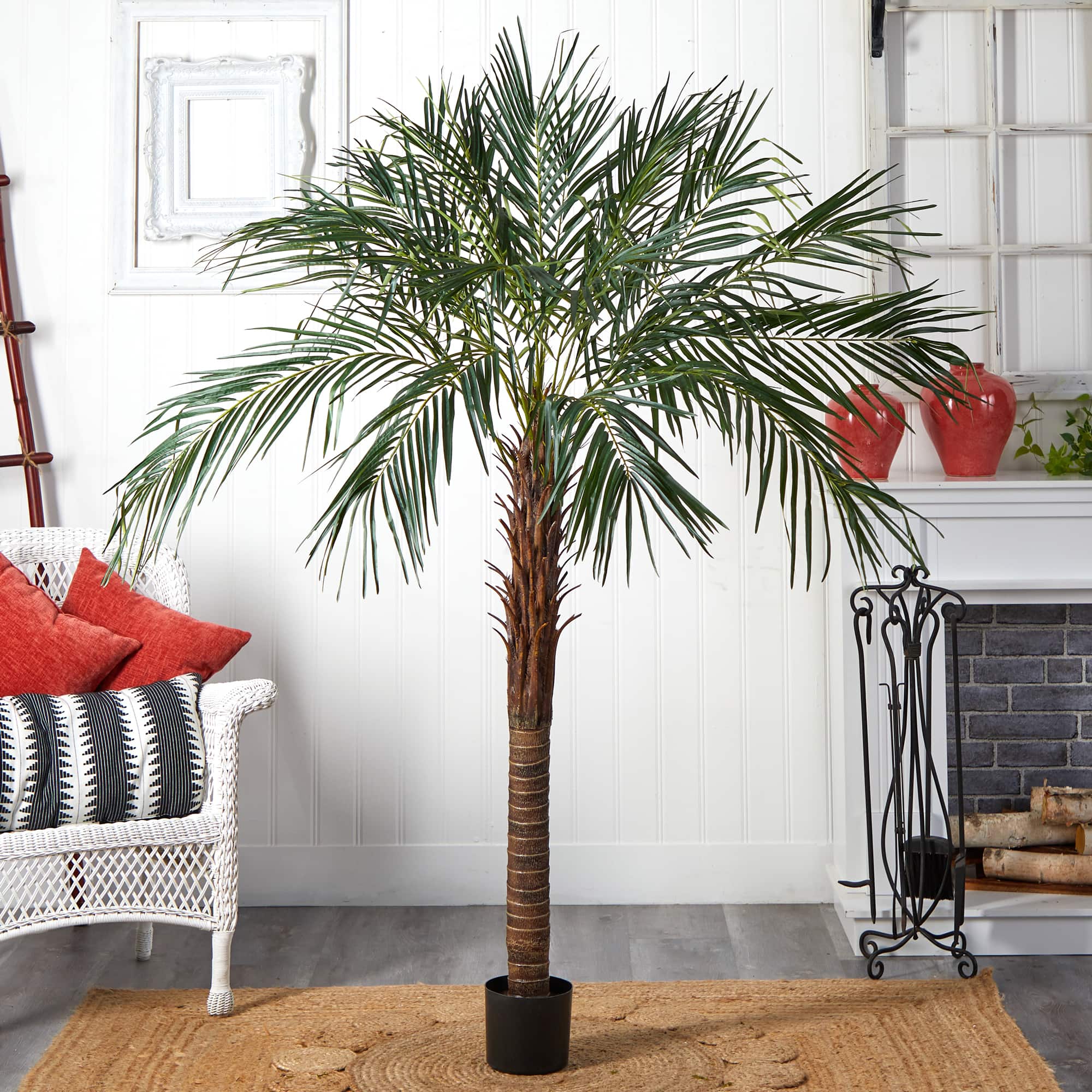 6ft. Potted Robellini Palm Tree