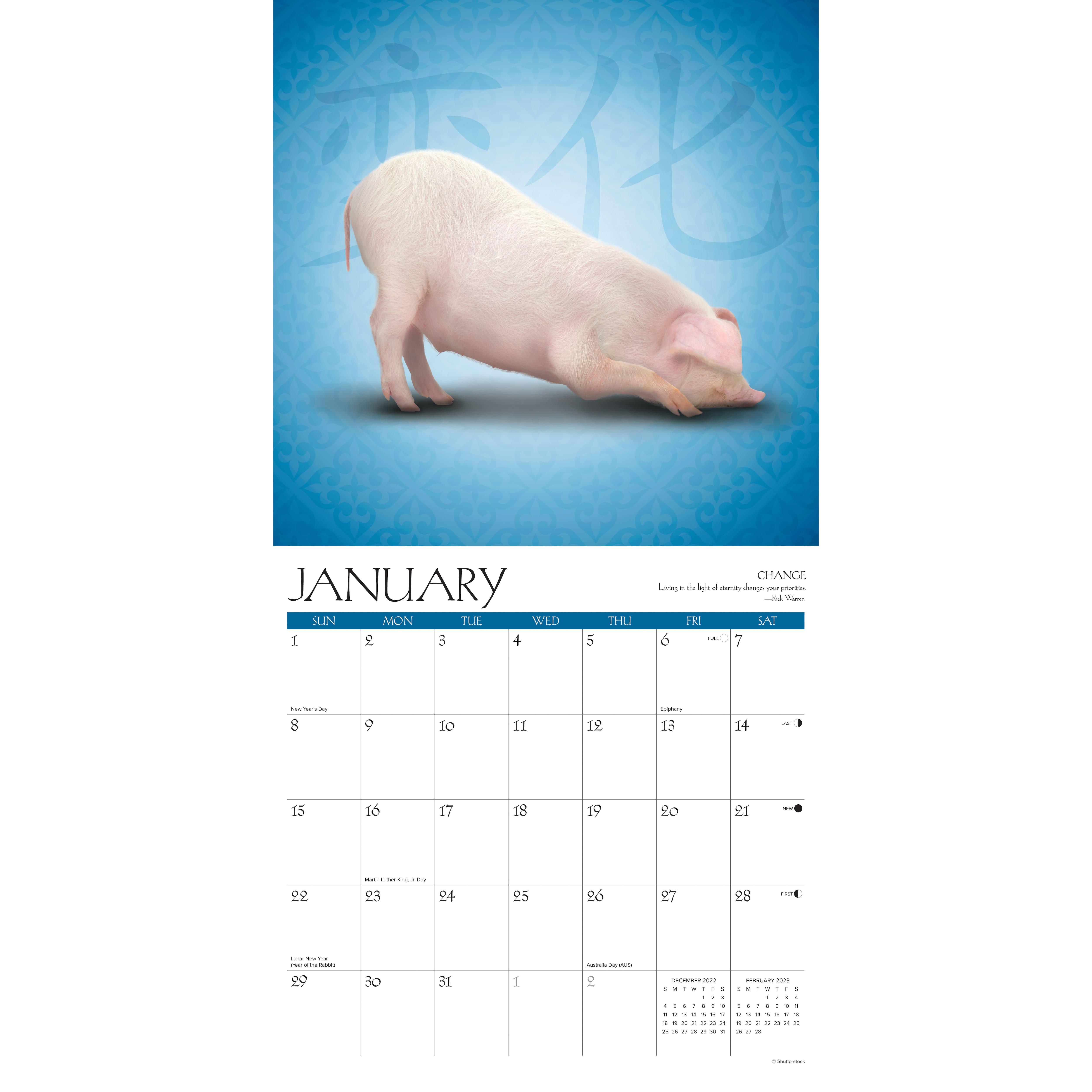 2023 Farm Yoga Wall Calendar Michaels