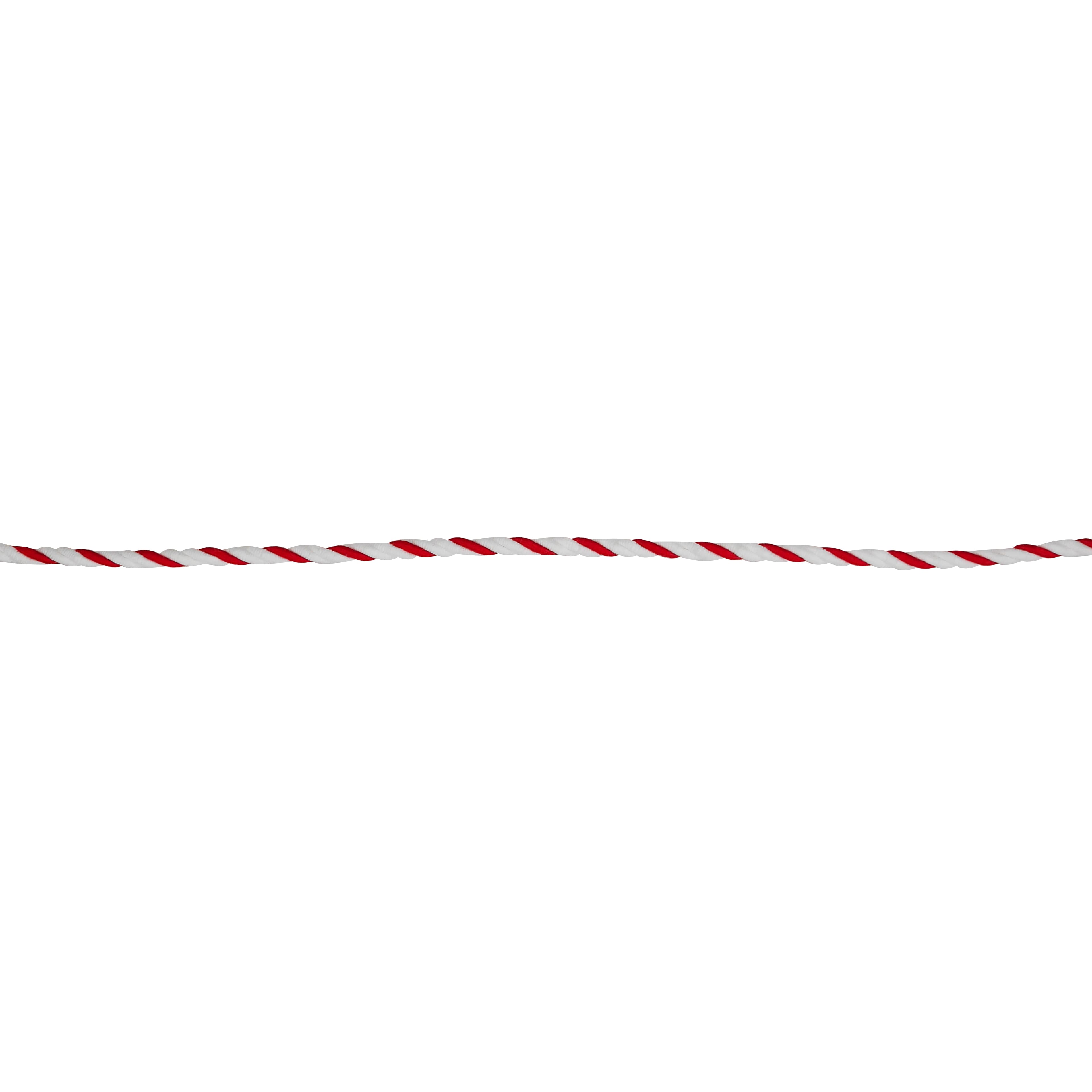 1/10&#x22; x 30ft. Red &#x26; White Cording Ribbon by Celebrate It&#xAE;