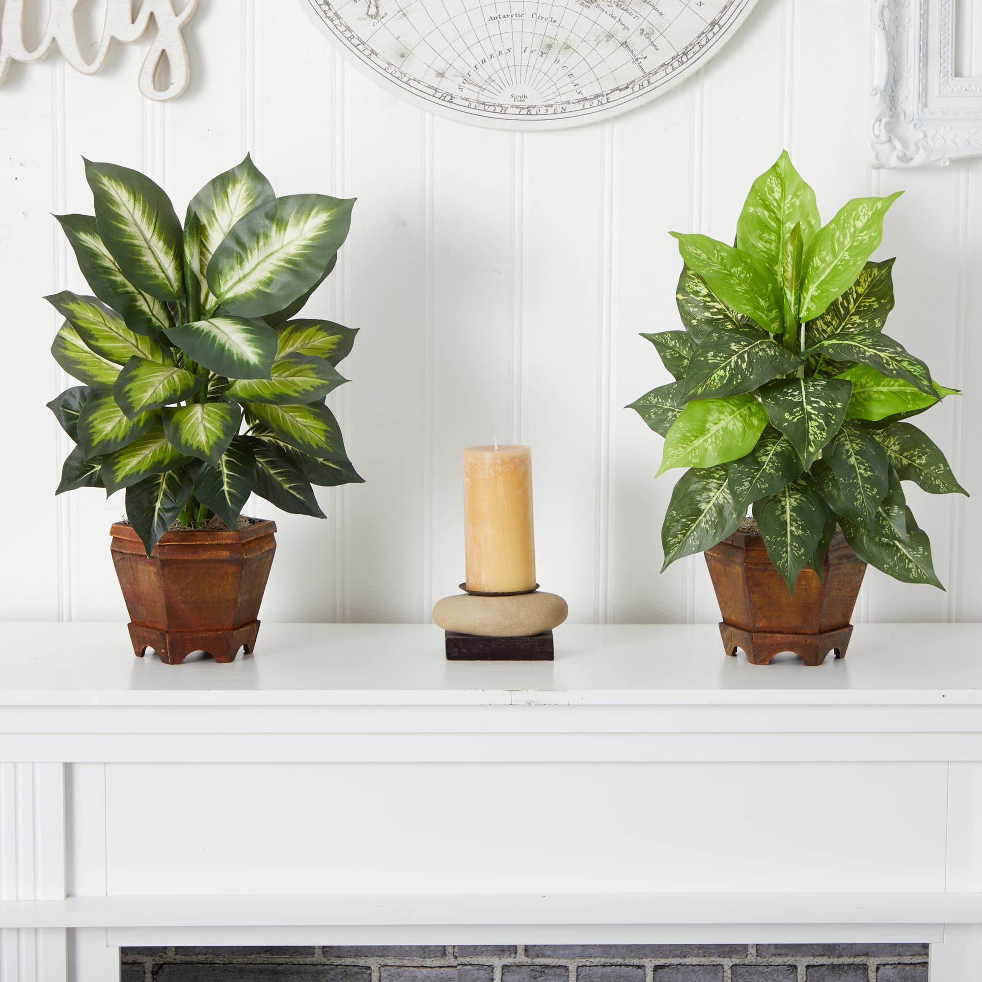 20.5&#x22; Assorted Dieffenbachia In Wood Vase, 2ct.