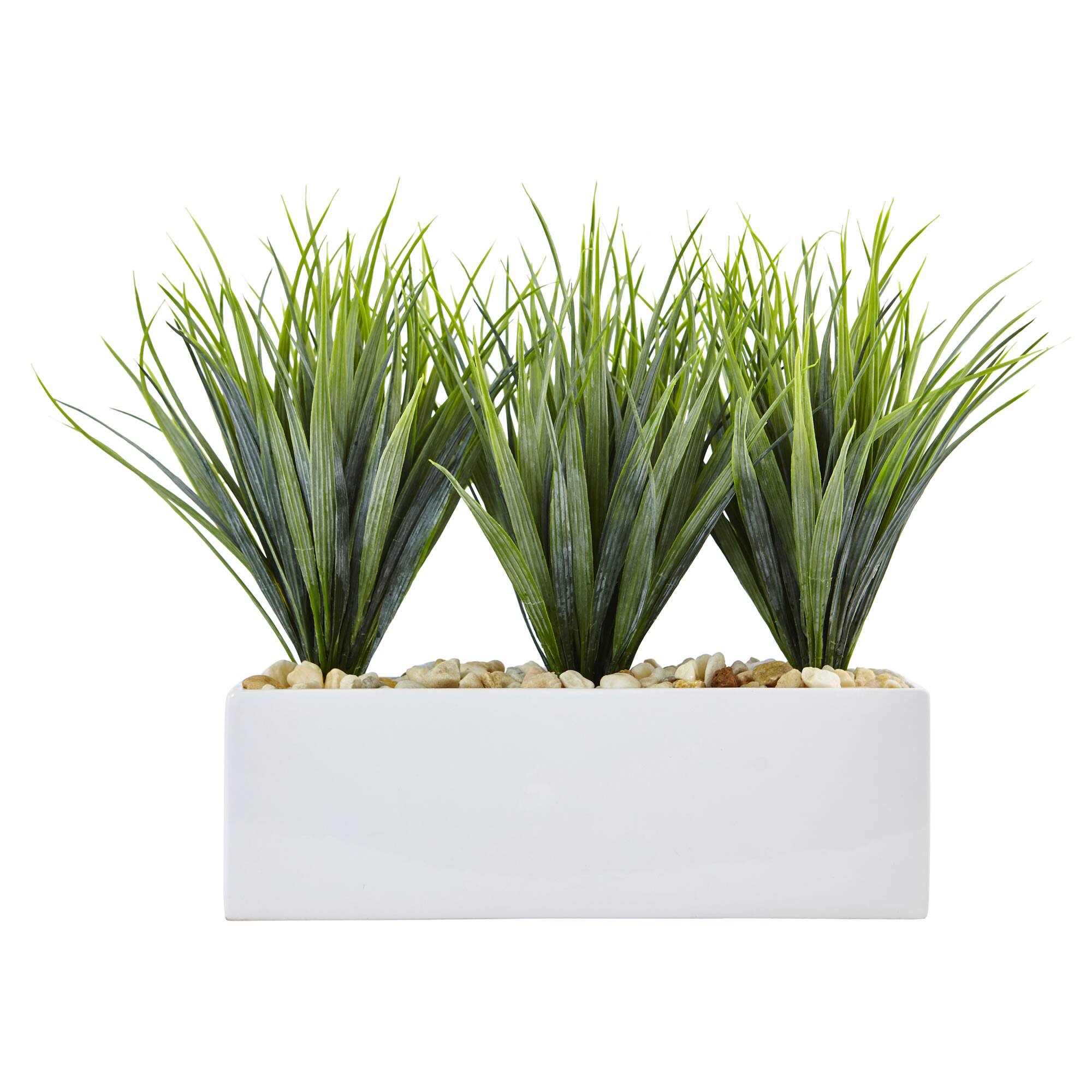 12" Vanilla Grass in White Rectangular Planter