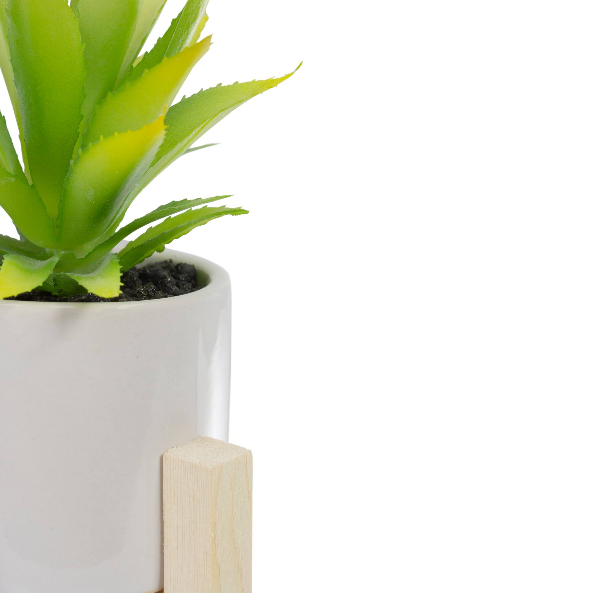 8.25" Potted Green Agave Plant with Wooden Stand