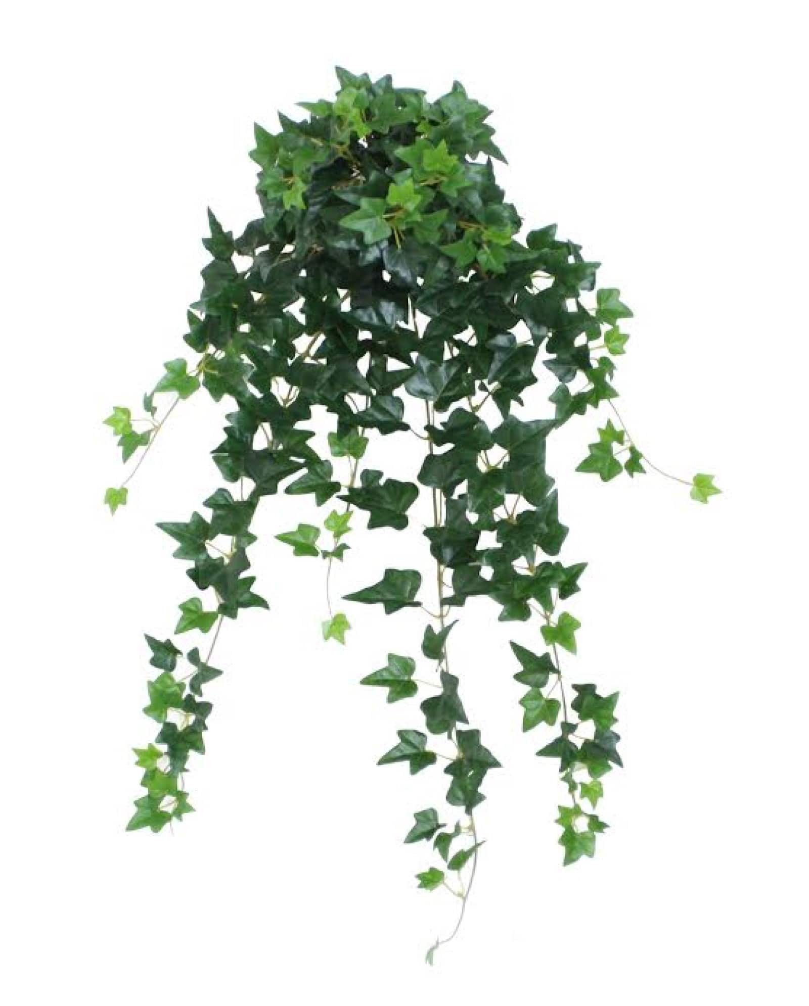 24" Green Ivy Spring Floral Hanging Bush